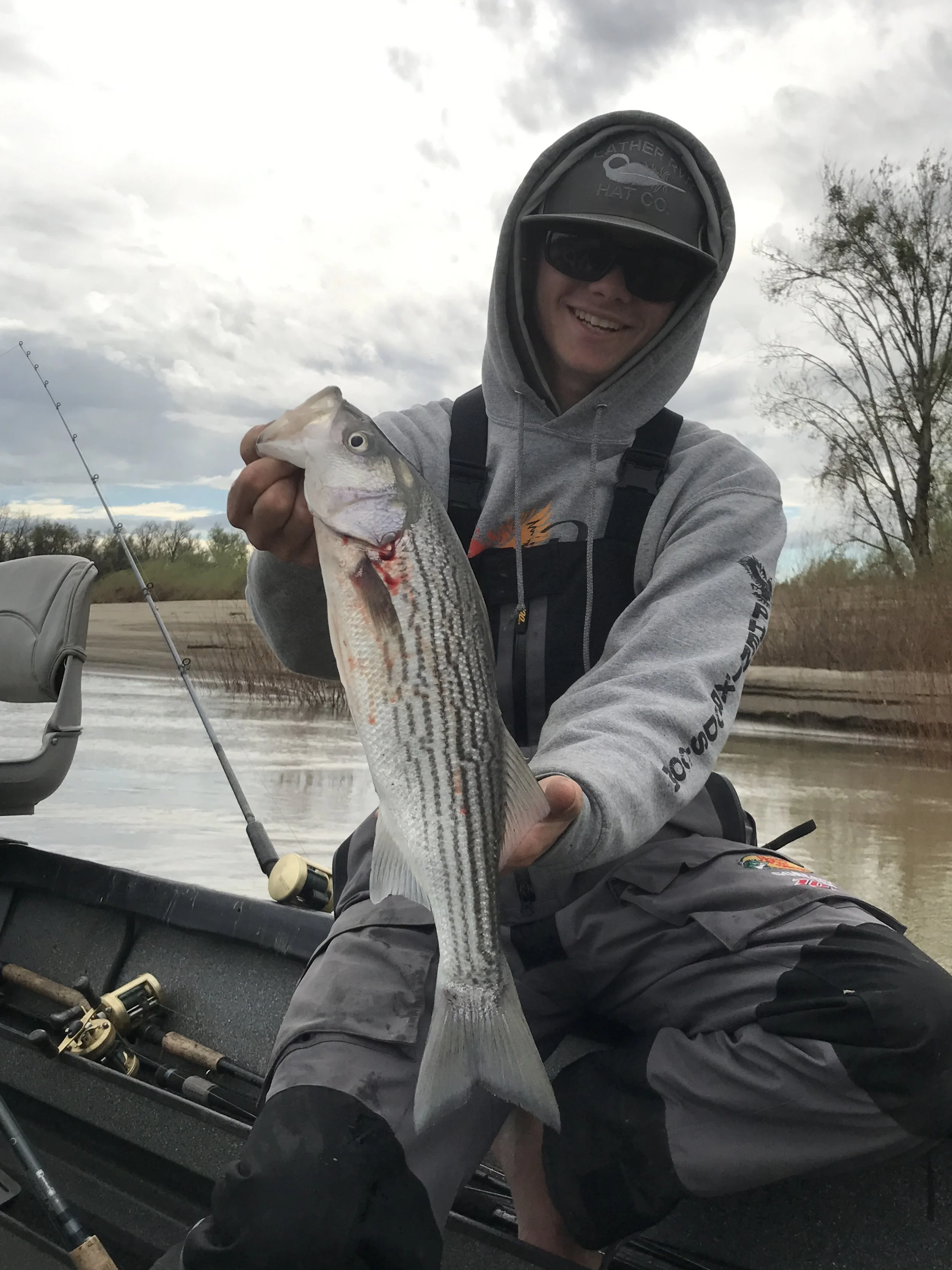 Ryan Tripp holding a keeper sized striped bass he caught on the Sacramento River near Colusa, Ca last week while soaking cut bait with Mike Rasmussen of SalmonSacRIver.com .