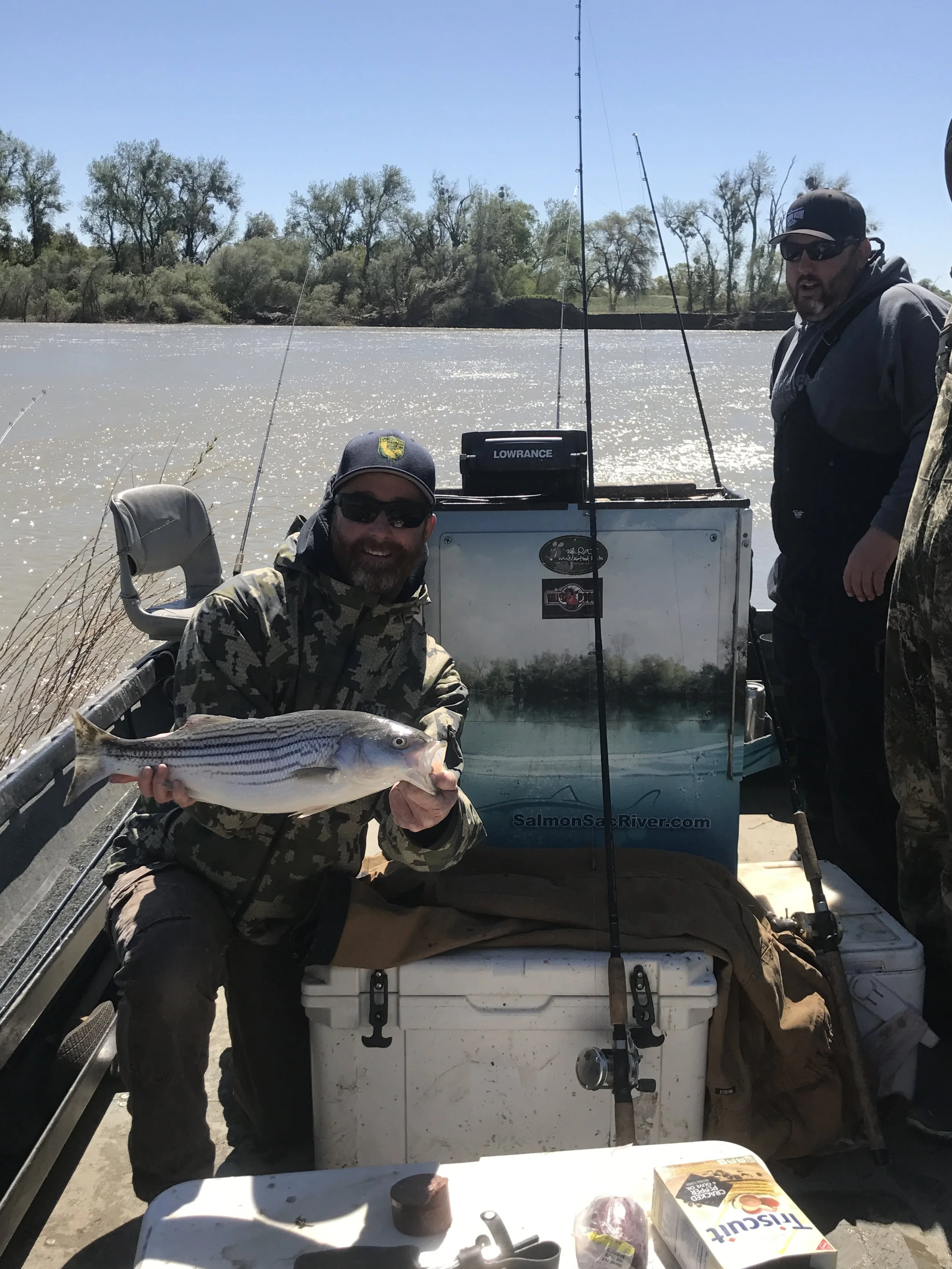 John Paterson from Corning, Ca holds up a quality striped bass he caught while on a two day alcohol induced bachelor party for Kevin Barnes (pictured on right of photo) of Corning, Ca on April 31, 2017. A very present wind chop can be seen on the river in the back ground. 
