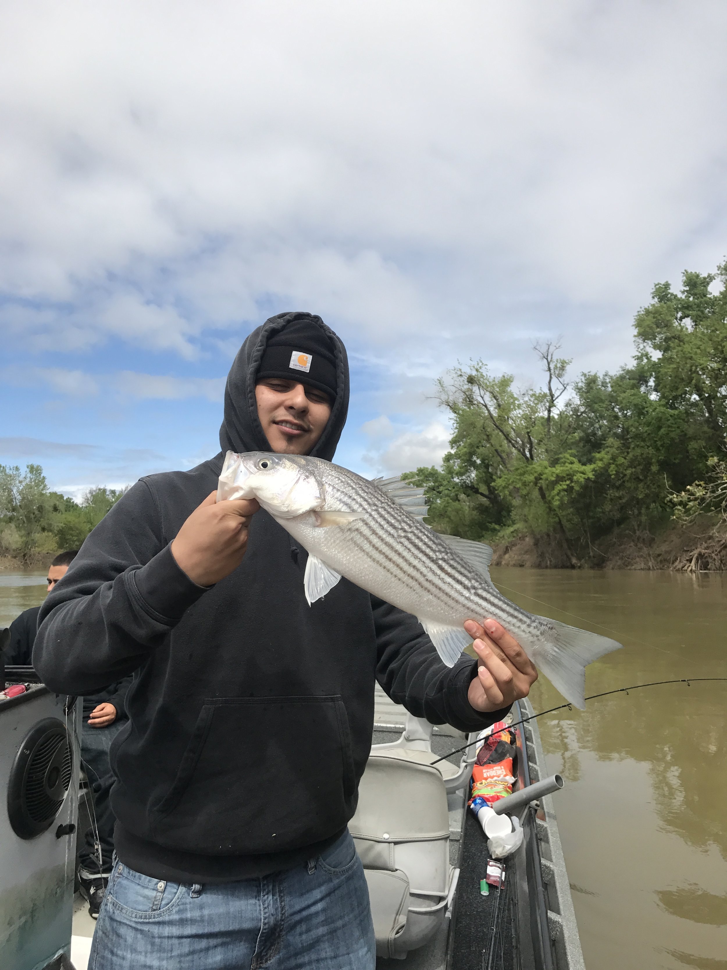 Omero Catches His First Legal Striped Bass On Feather River 