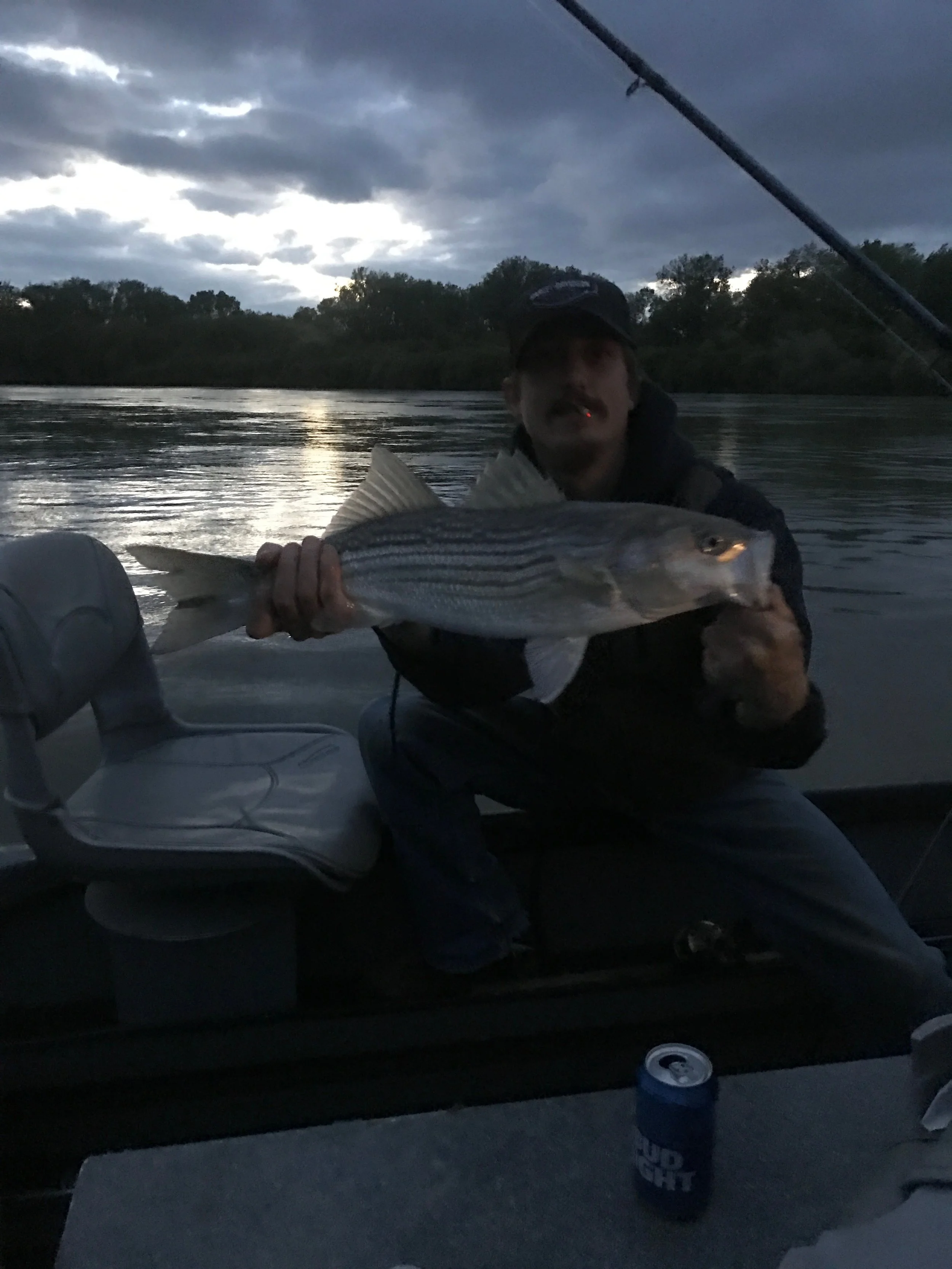Keeper Striped Bass From The Sacramento River On April 12, 2017