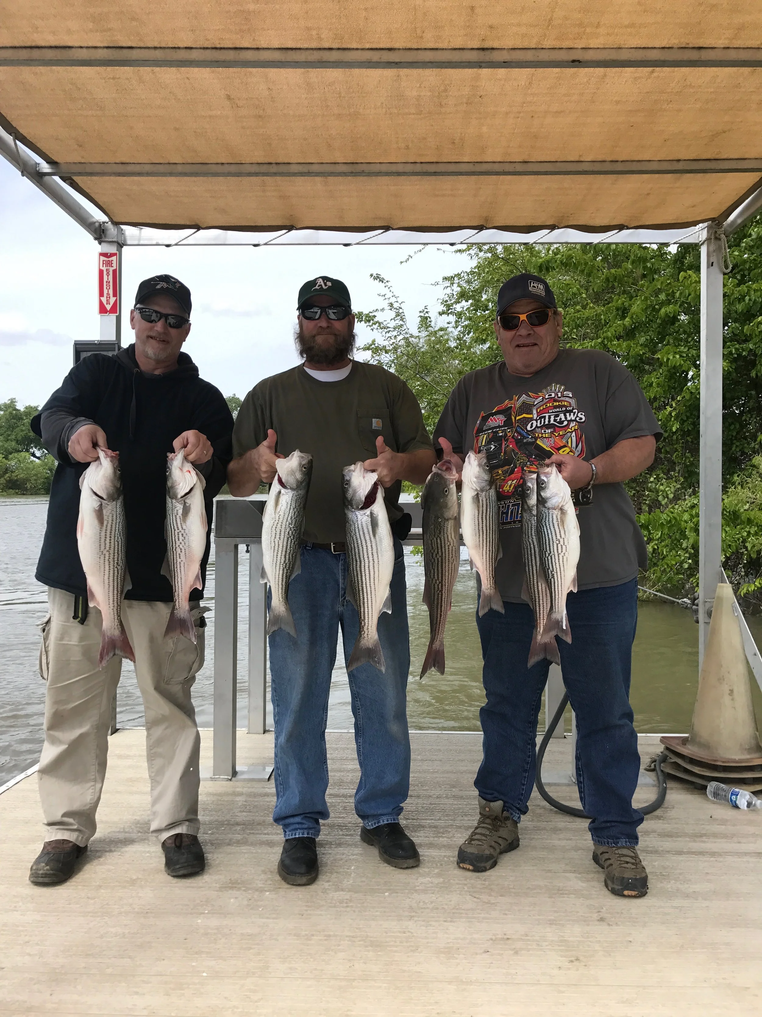 Easy Limits Of Striped Bass On The Sacramento River April 19, 2017