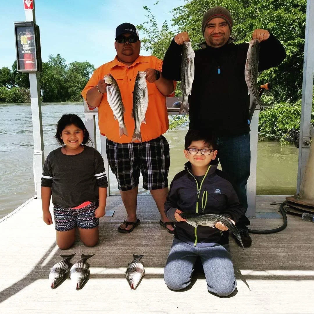 Limits Of Striped Bass For SalmonSacRiver Family Guests
