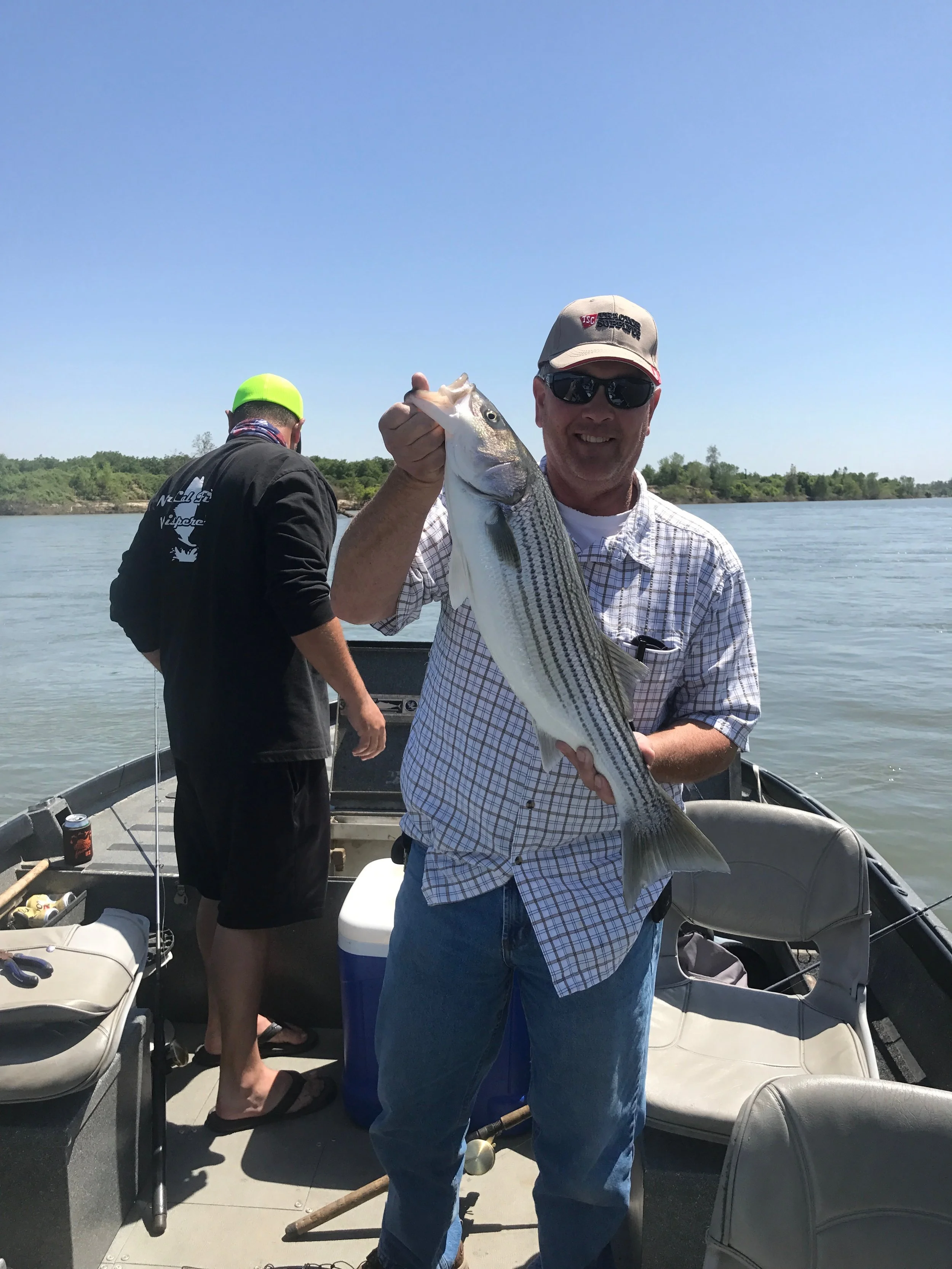 Picture Gallery (3) Photos From 2017