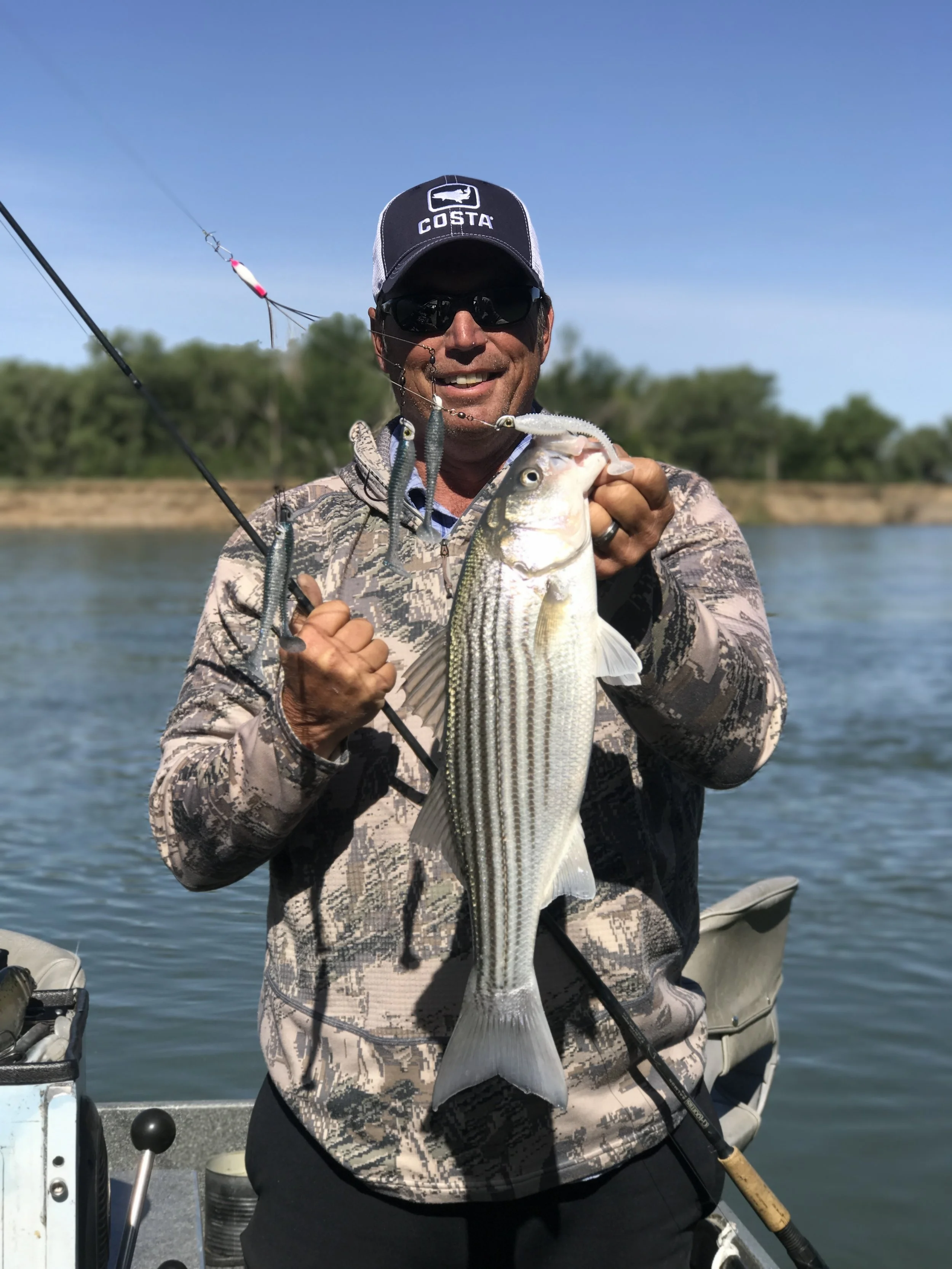 Northern California Striped Bass fishing guide Dave Jacobs sacramentofishing.com holds a chunky post spawn striped bass he caught on the Sacramento River near Woodson Bridge in Corning, Ca on May 18, 2017.