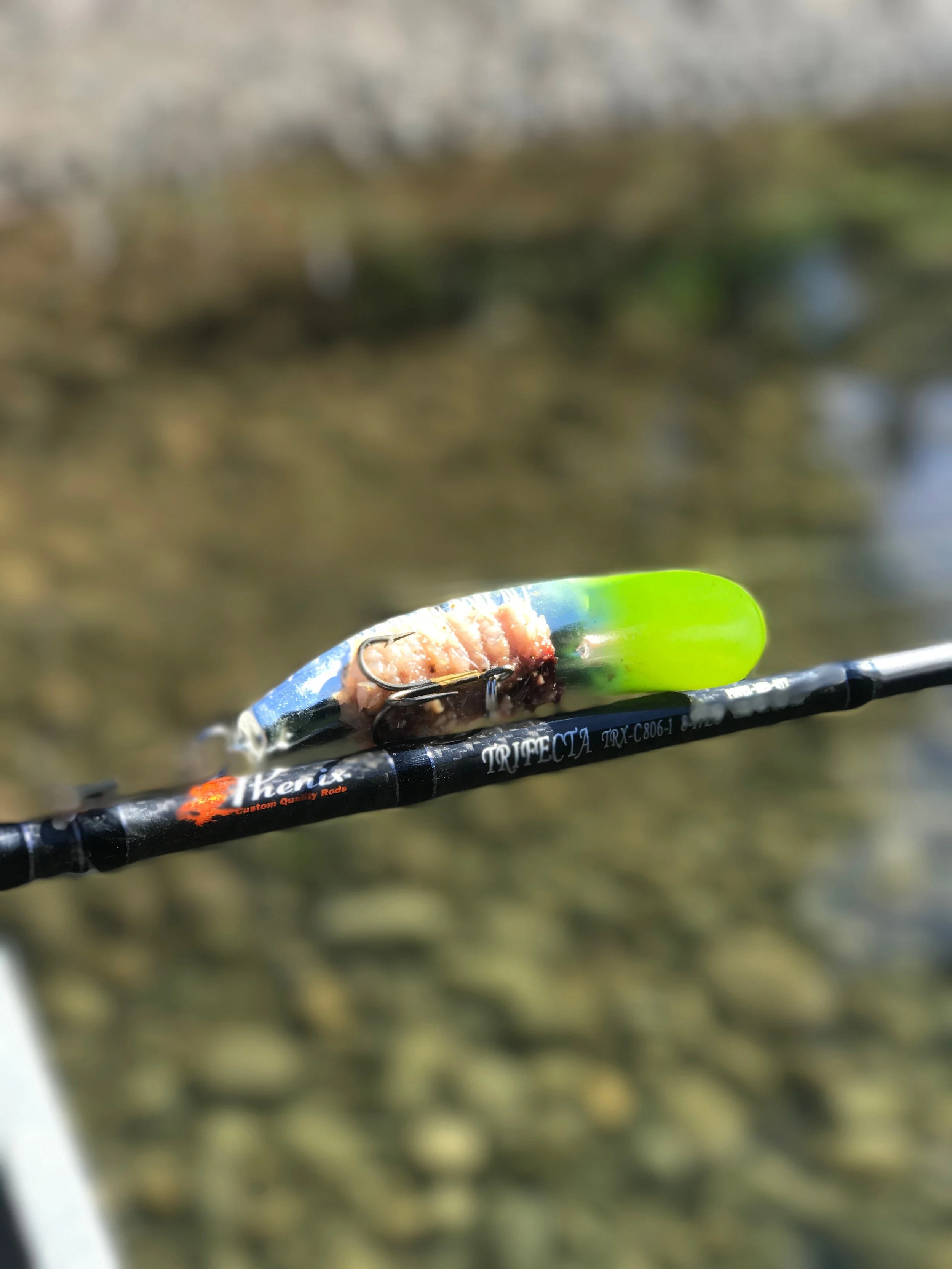 SalmonSacRiver.com With Brand New Phenix Rods