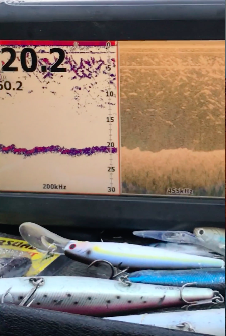 A Still Shot Of Mike Rasmussen's Fish Finder