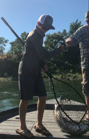 Chrome King Salmon Caught By Mike Rasmussen On The Feather River