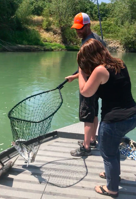 Husband And Wife Land A Striped Bass On The Sacramento River