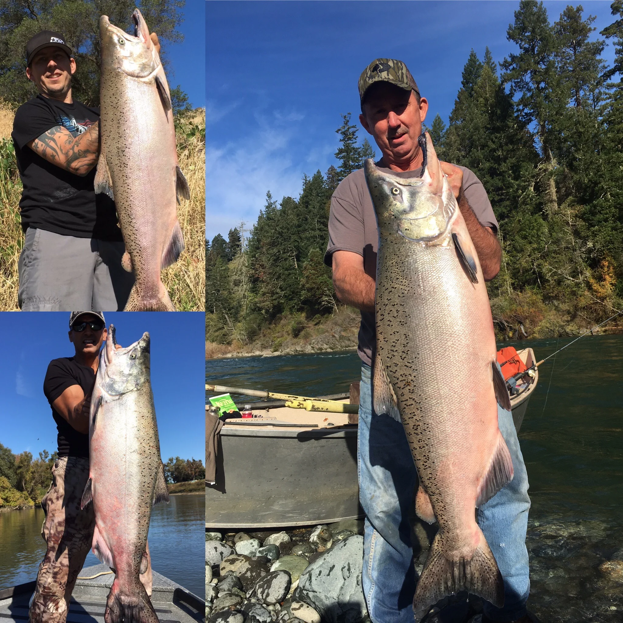 Sacramento River Salmon Fishing 2106 With Mike's Guide Service