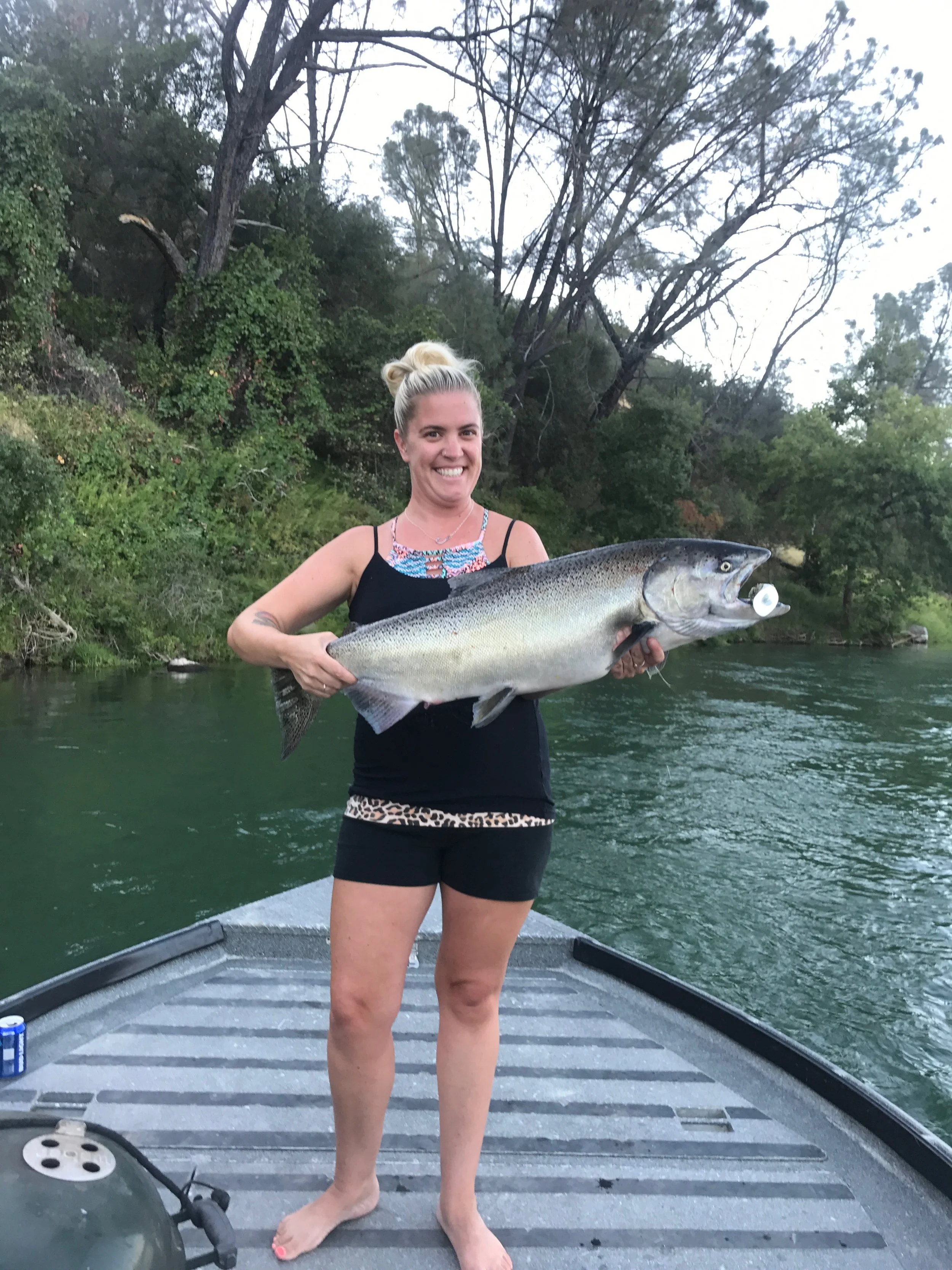 This 24 pound hen chinook salmon was taken by Kyla Melcher from Cottonwood, Ca as she back bounced a K16 Kwikfish with a sardine wrap on August 14, 2017.