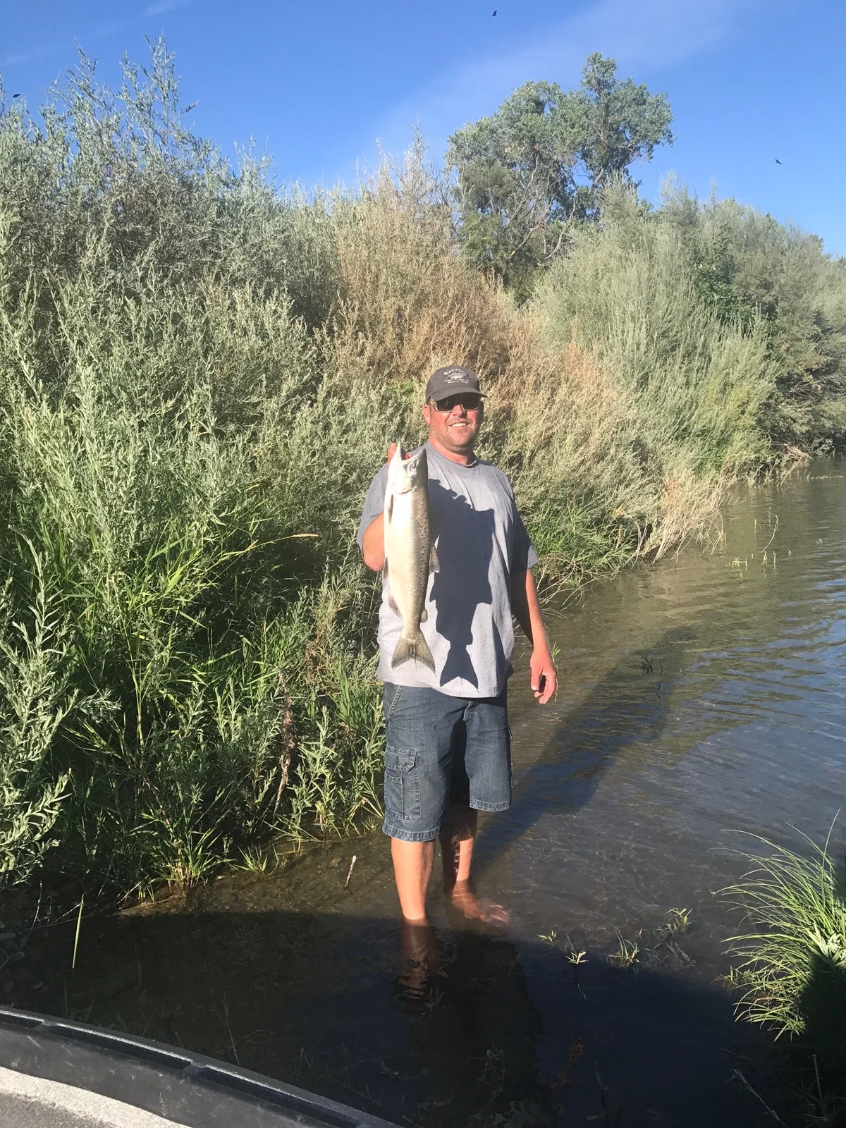 Salmon Fishing On The Sacramento River Is Coming Around