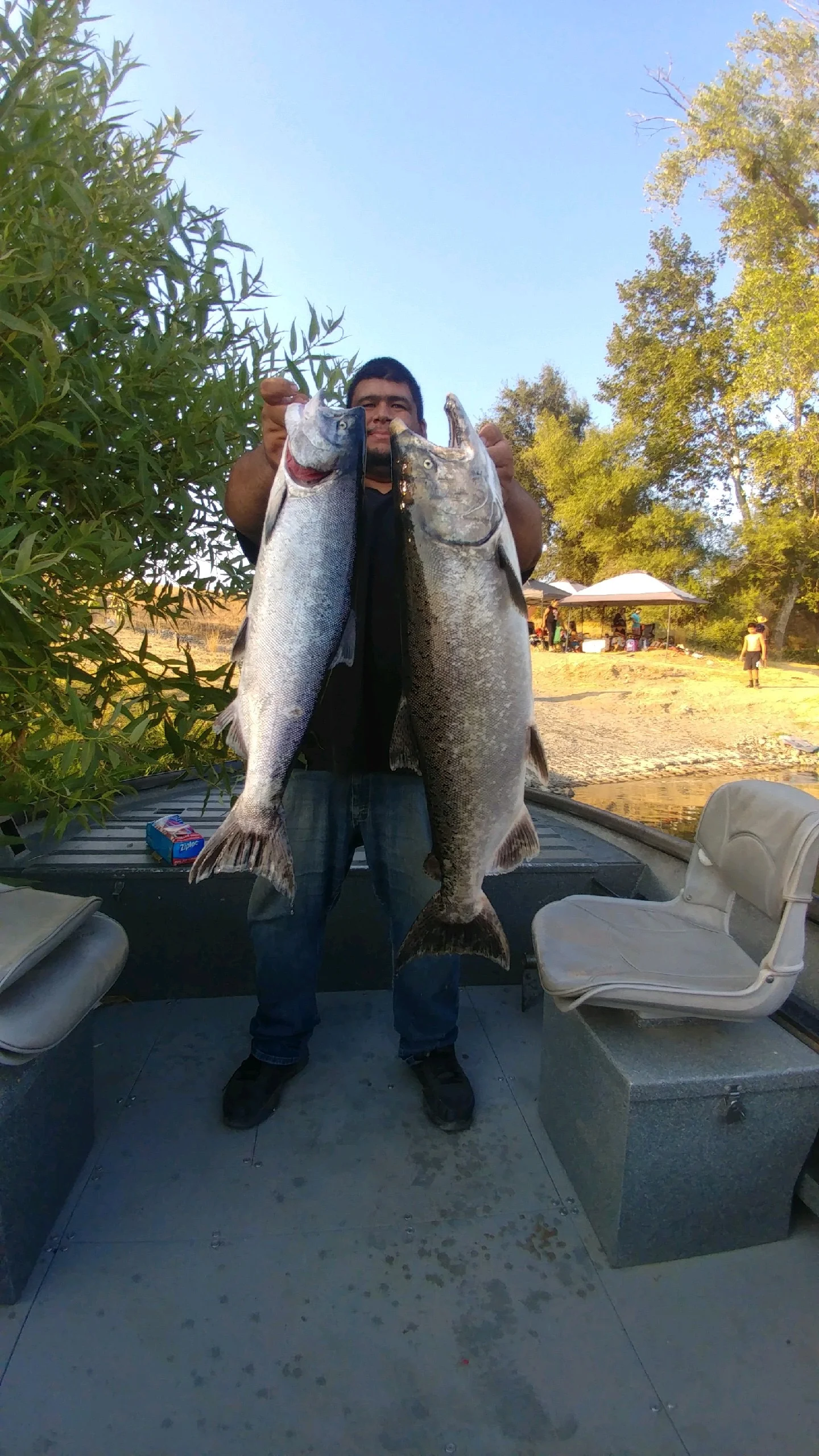 Feather River Pumps Out Great King Salmon Fishing On August 19, 2017
