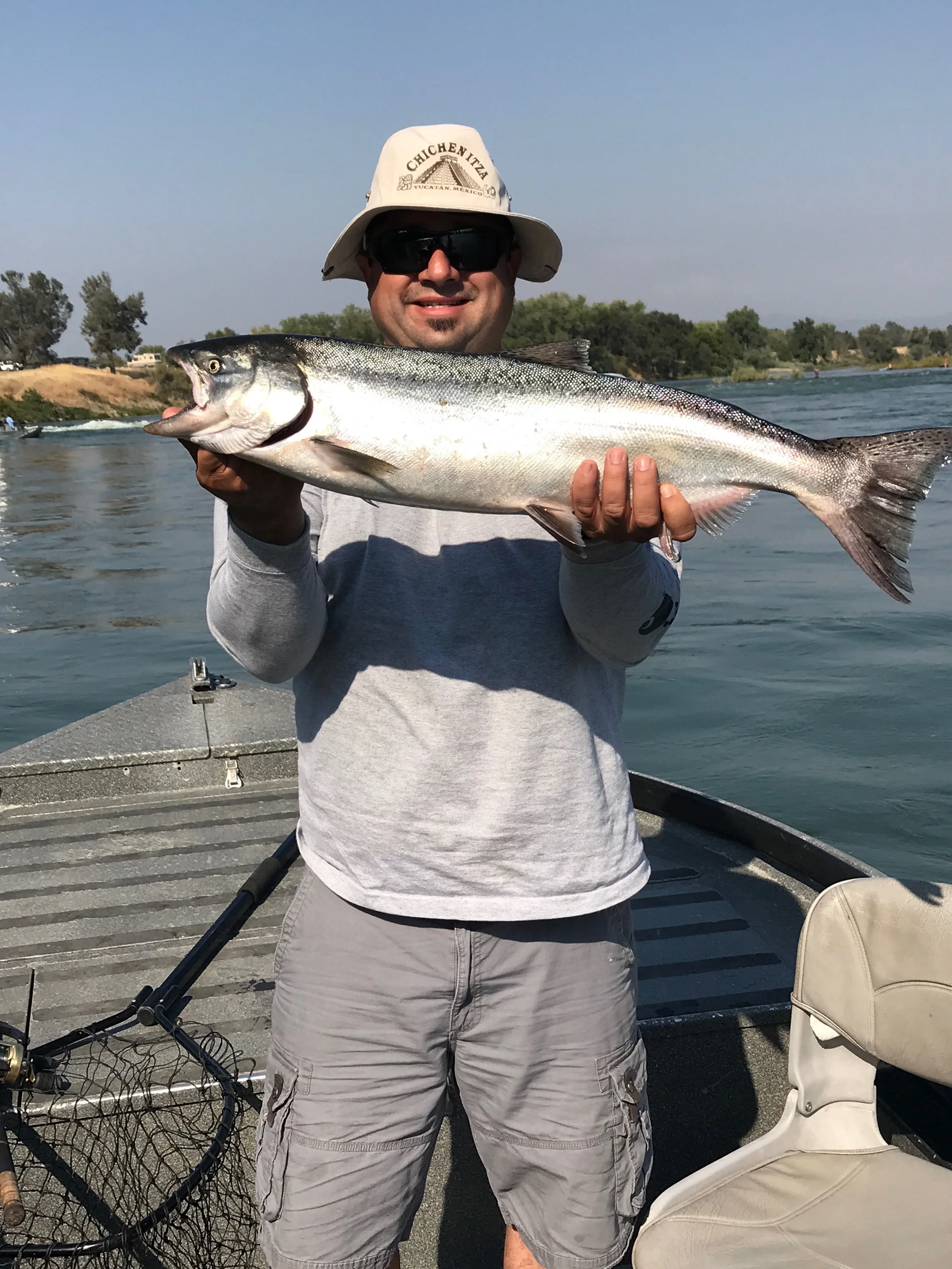 Dime Brite King Salmon Caught On The Feather River In Oroville, Ca