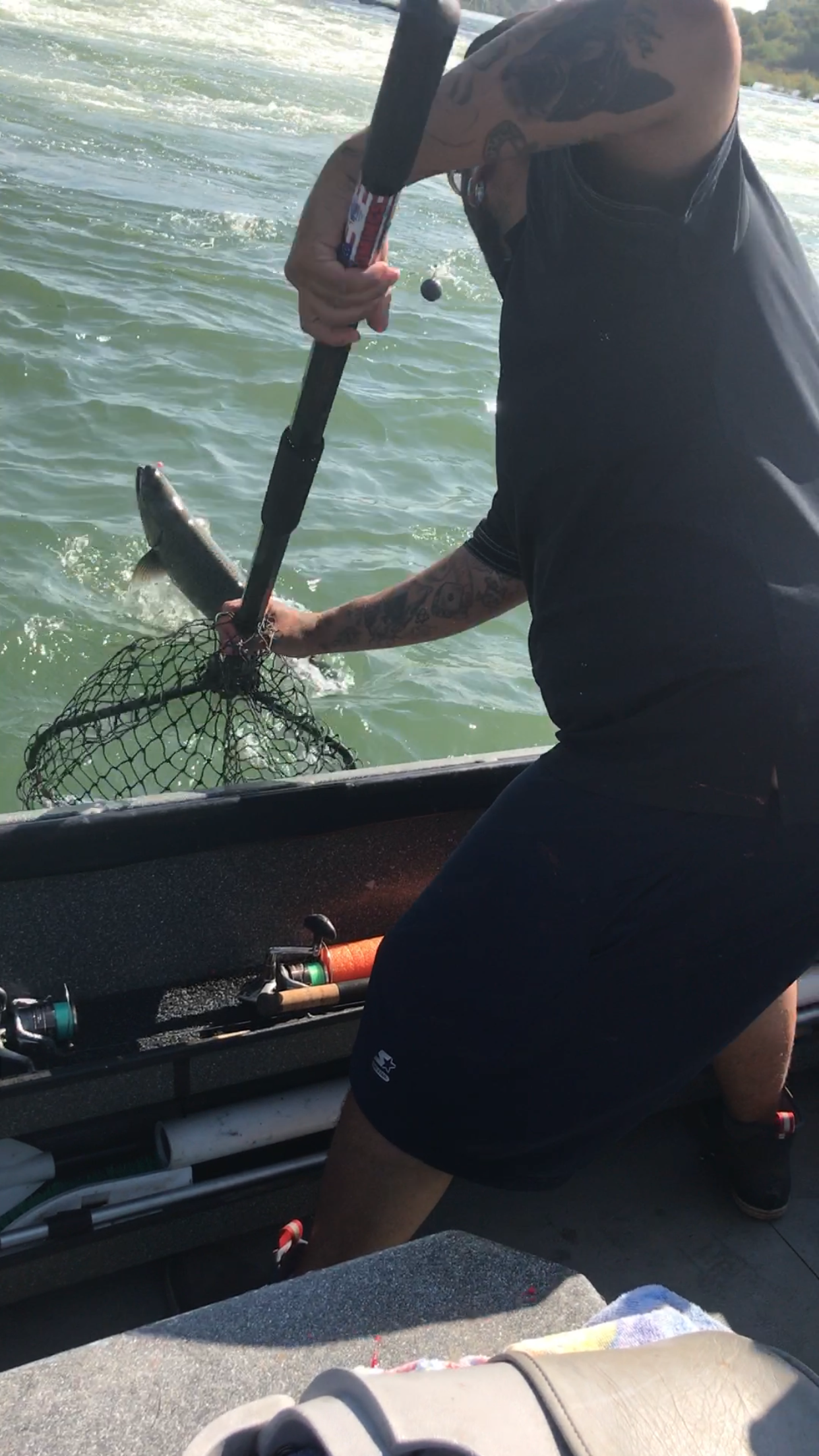 Feather River King Salmon At The Net!!!