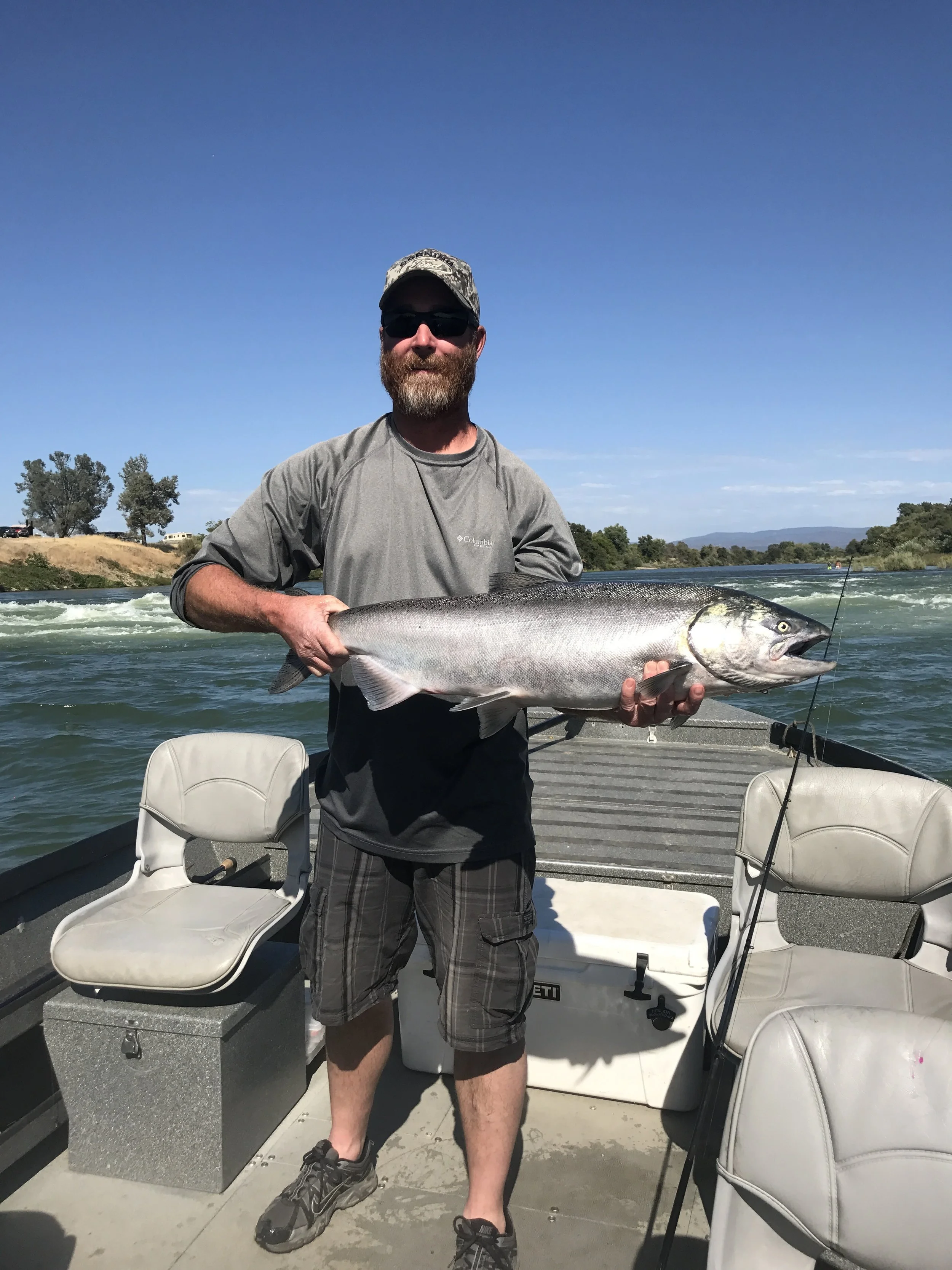 Quality Chrome King Salmon Bing Caught On The Feather River
