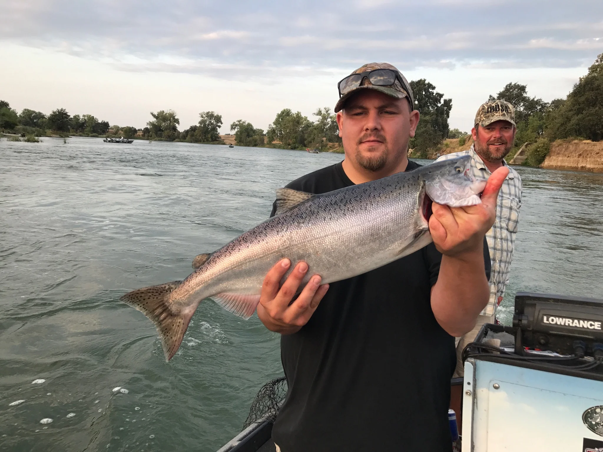 Smaller Jack Salmon Are Always Feisty As Can Be
