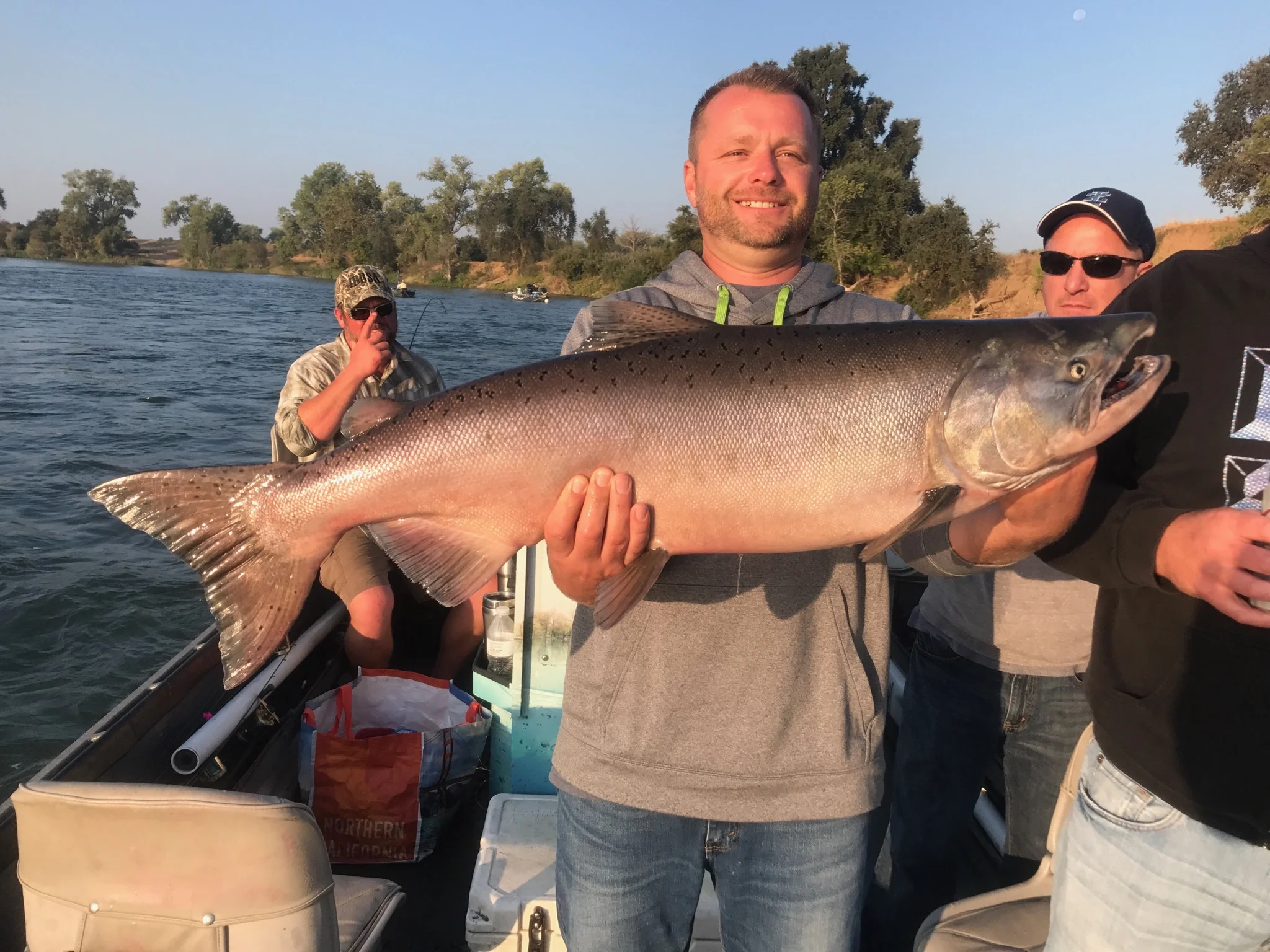 Big Chrome Buck Chinook Salmon Caught On The Feather River