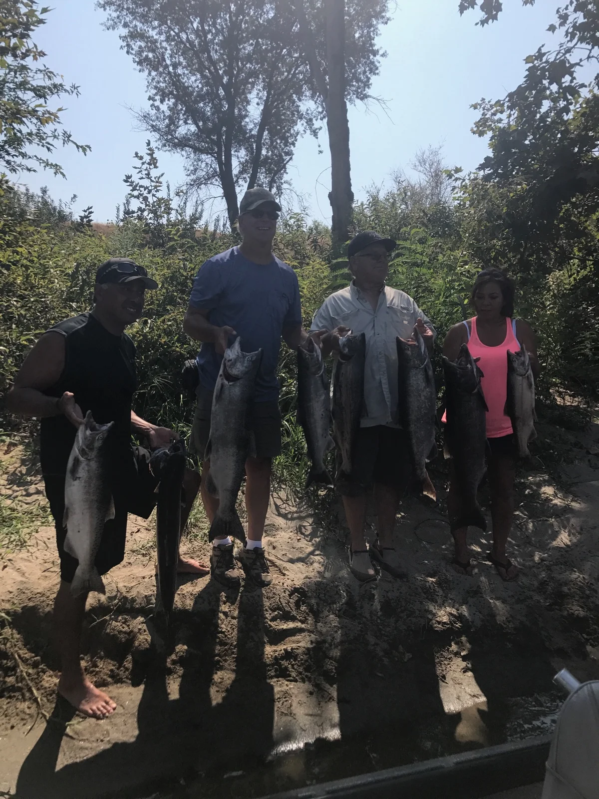September 2017 Limit Photo Of Feather River Salmon