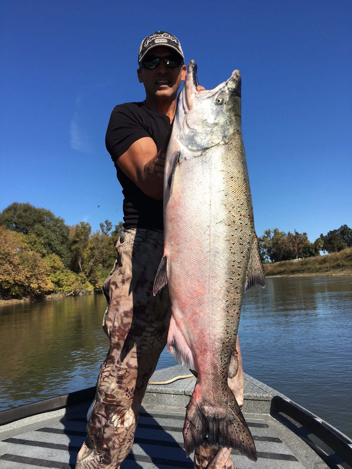Sacramento River Fishing Report For: Trophy Striped Bass And Late