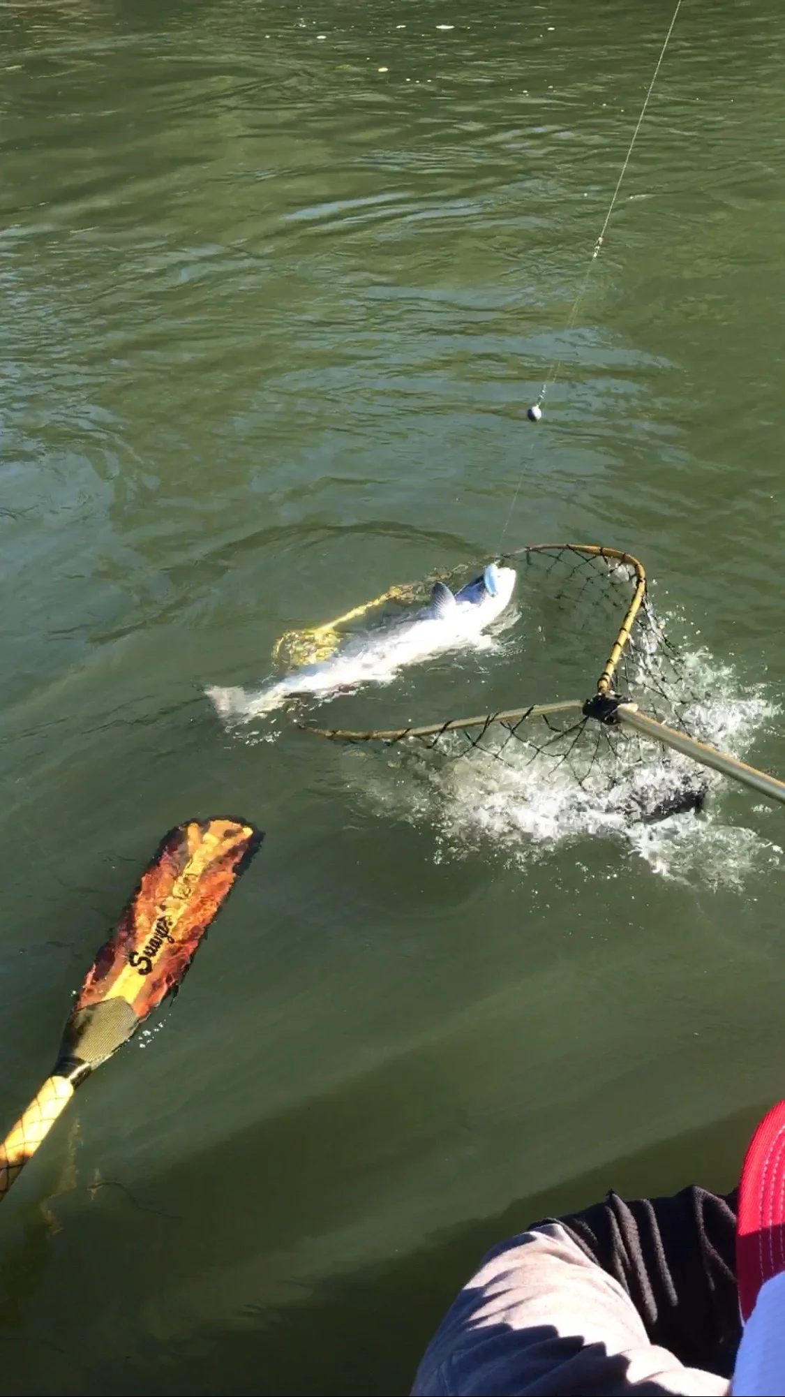 Salmon Fishing On The Smith River In Northern California