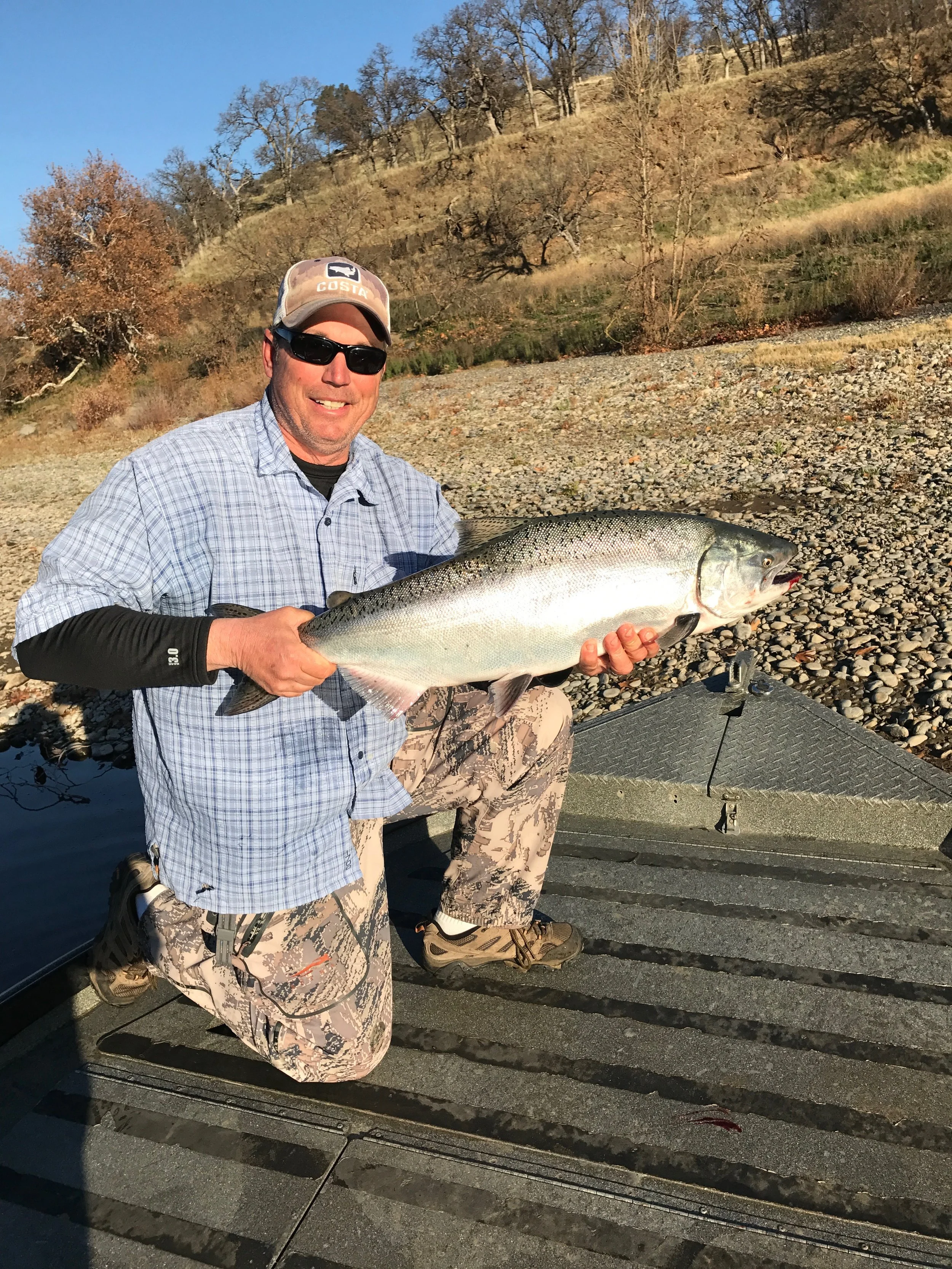 Chrome Bright Sacramento River Salmon In December, 2017