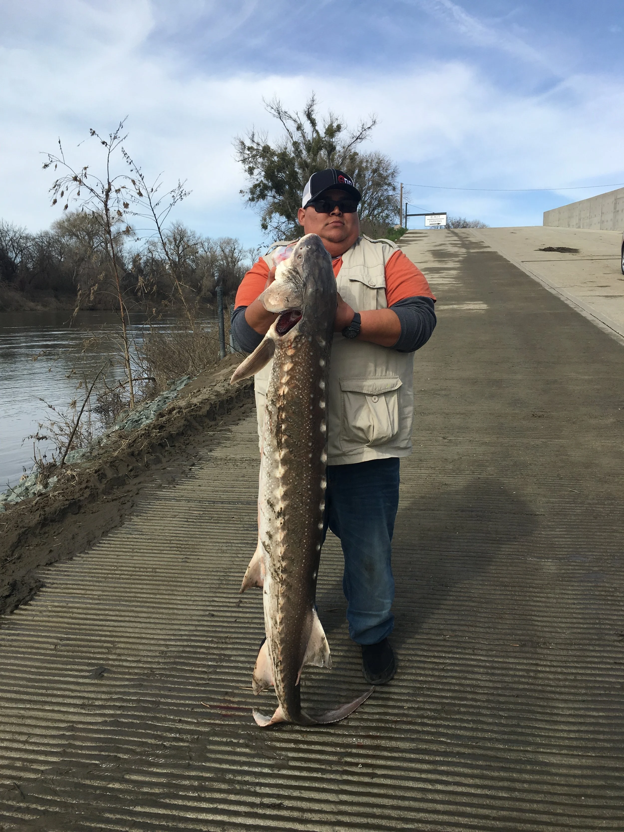 Eddie Maldonado from Corning, Ca caught this keeper sized White Sturgeon on the Sacramento River near Tisdale, Ca in March, 2017. While fishing with Sacramento River with sturgeon fishing guide Mike Rasmussen of Mike's Guide Service.
