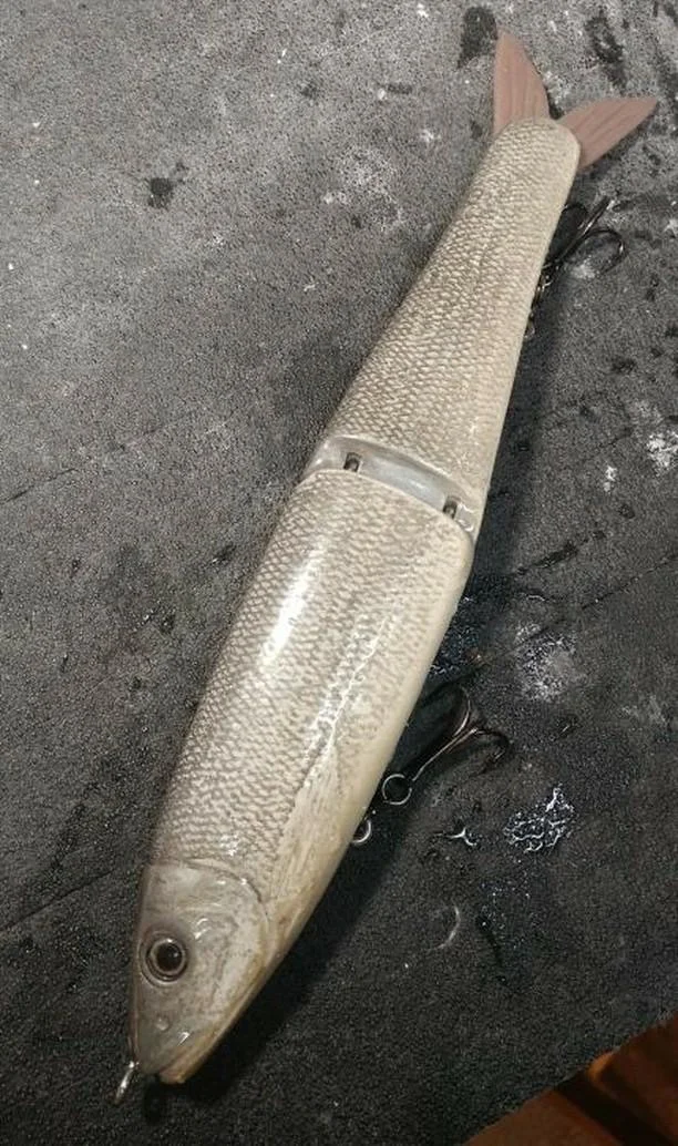 A Custom Glide Bait In The Squaw Fish Pattern