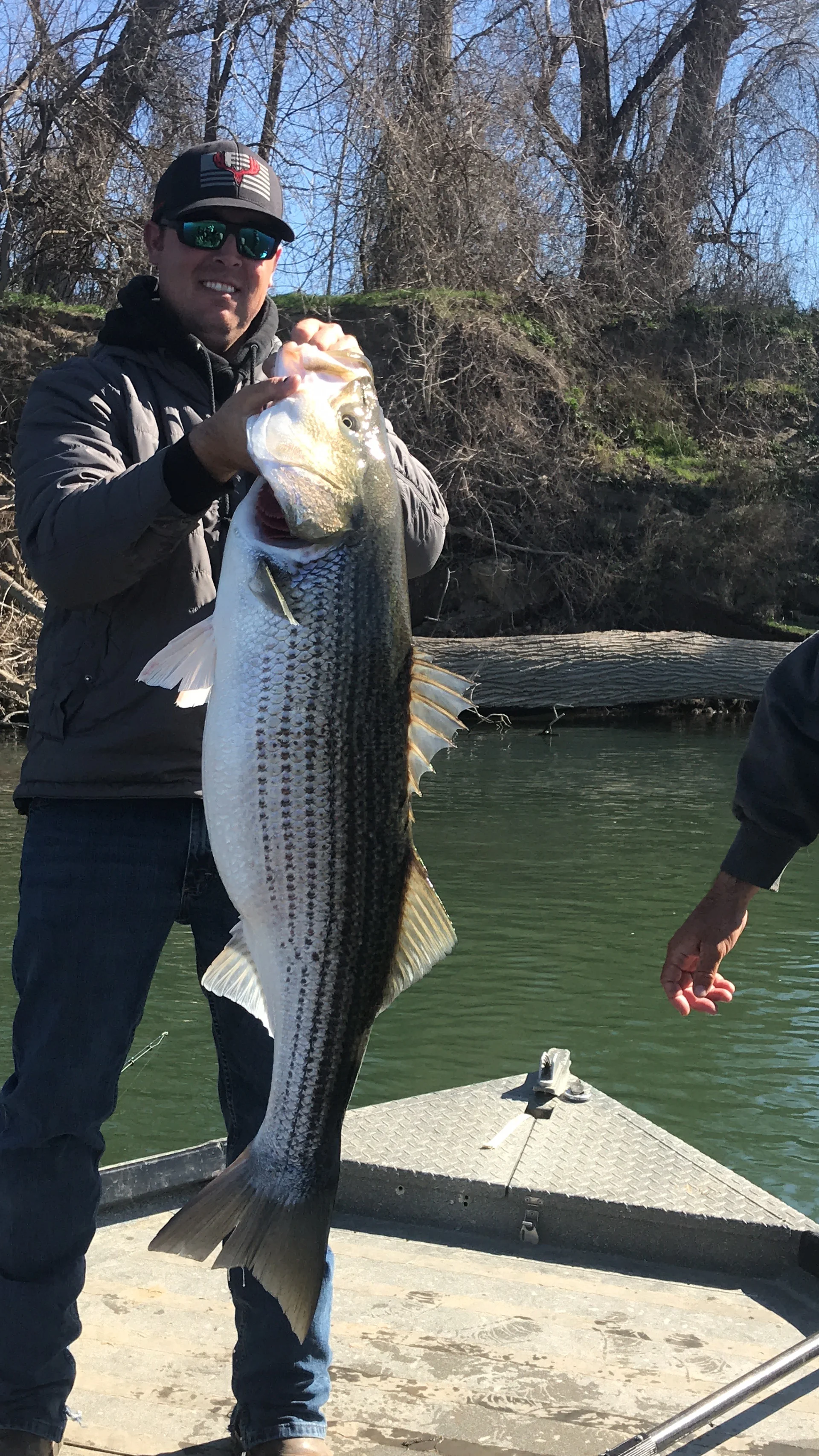 Striped Bass Angler From Clearlake, Ca Holds A 36 Pound Striped Bass