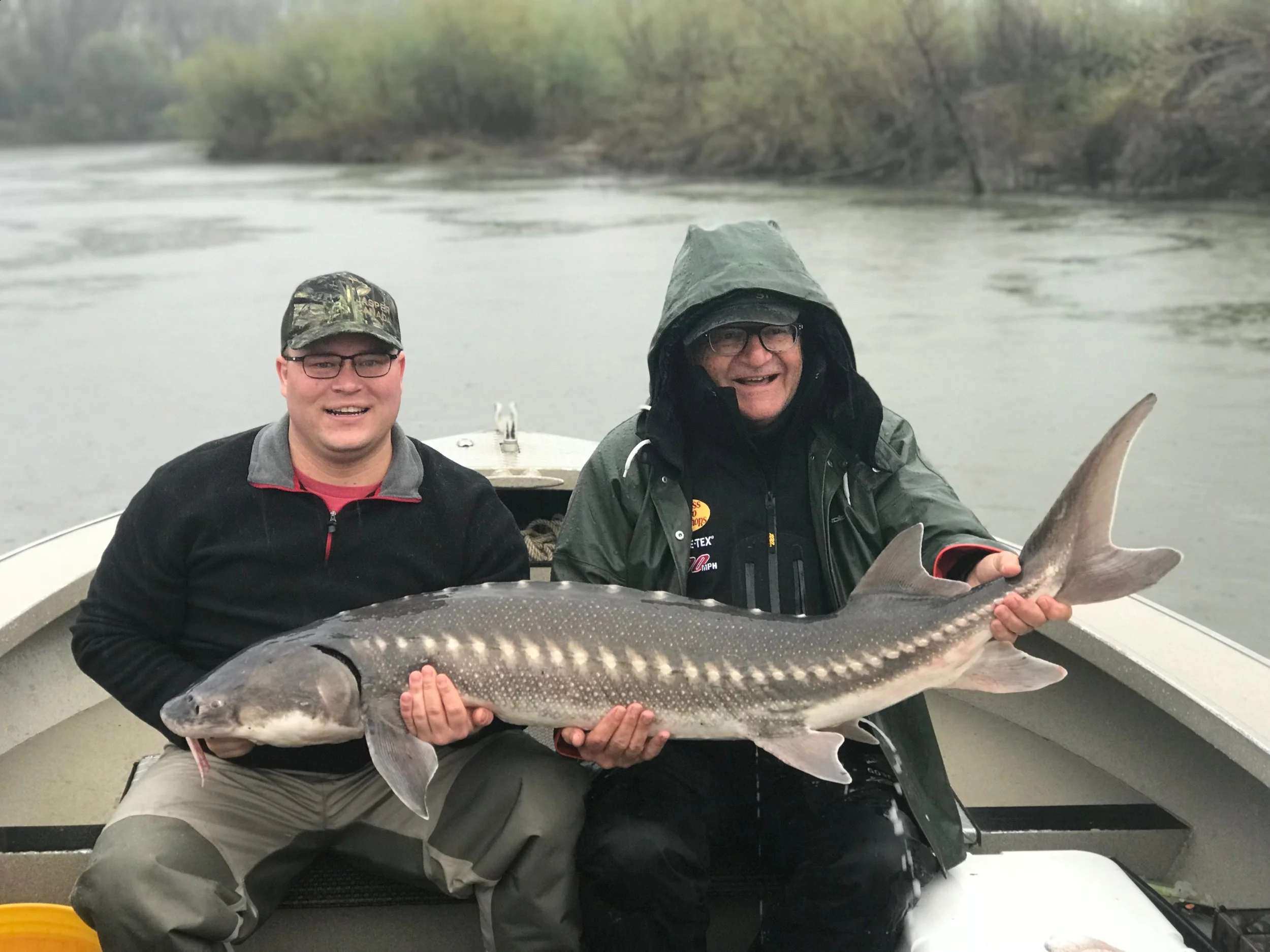 Sturgeon Fishing The Sacramento River In March 2018