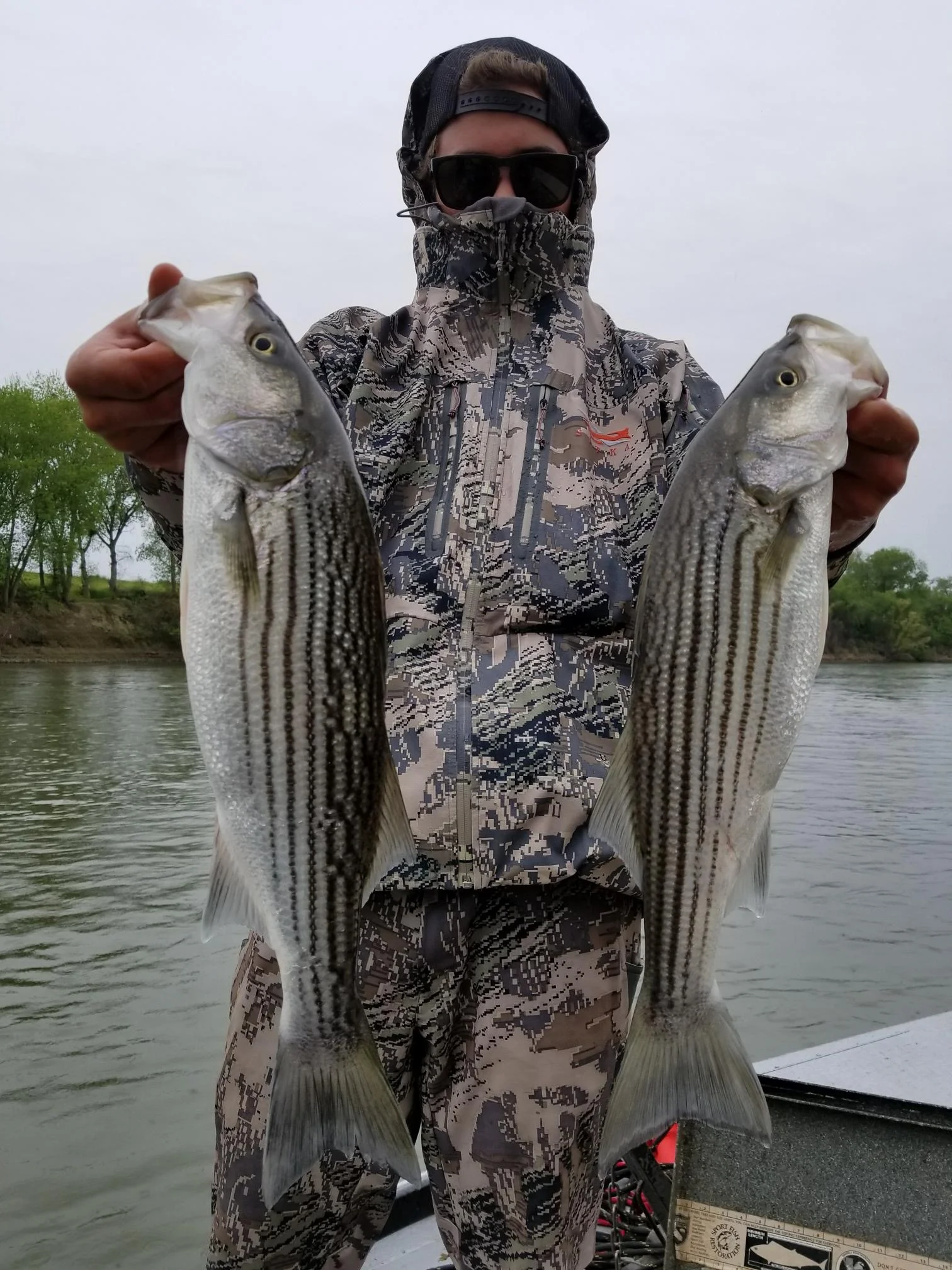One Person Limit Of Sacramento River Striped Bass