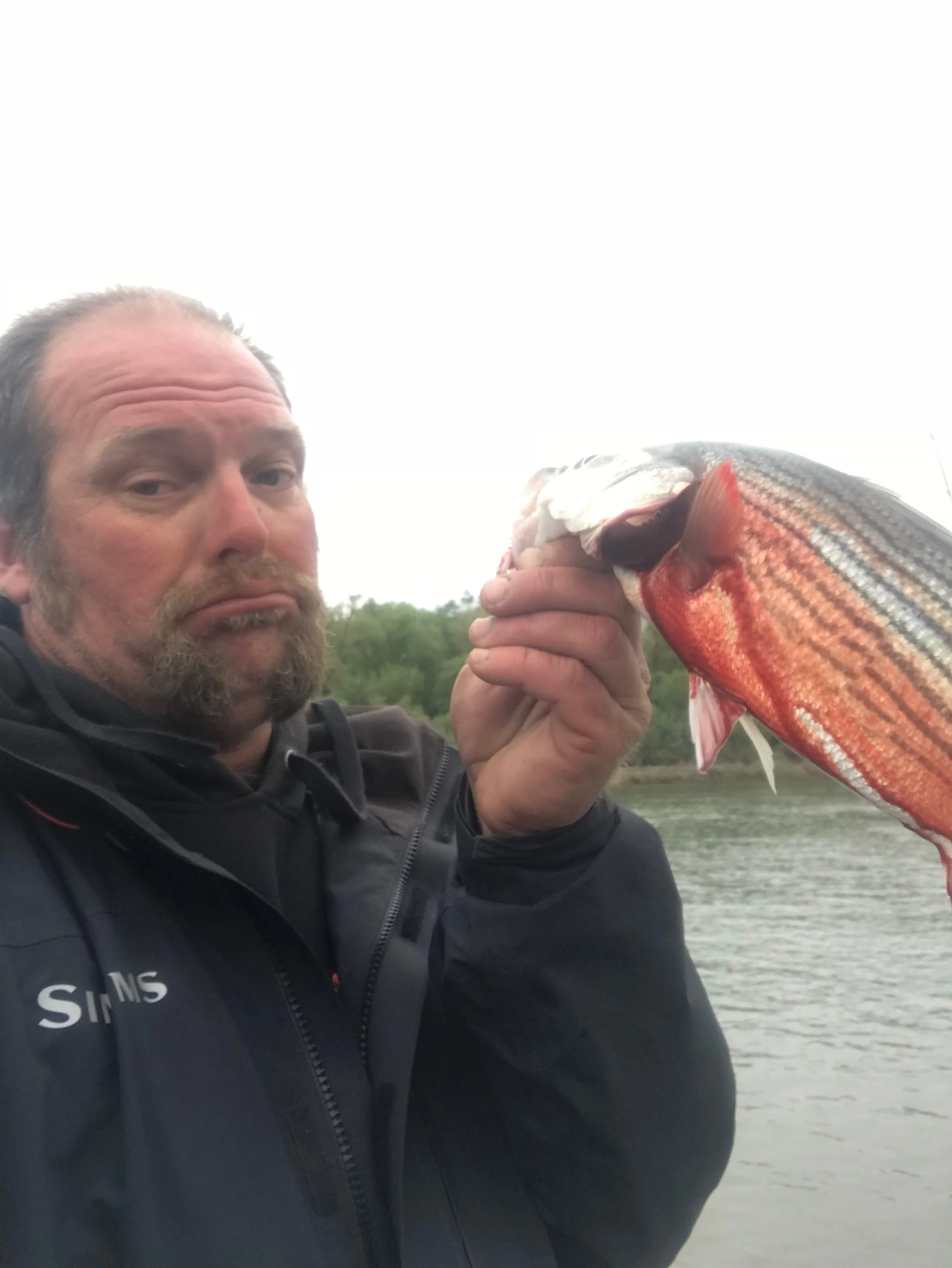 Striped Bass Bleeding From Deeply Swallowed Hook