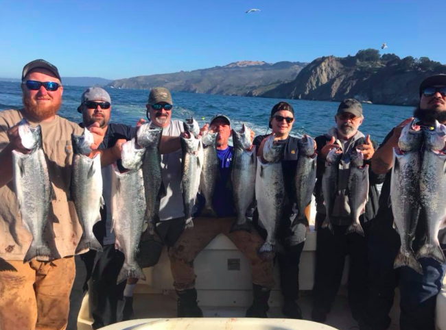 Cpt. Jay Lopes of Right Hook Sportfishing shows off his limits of Fall Run Chinook Salmon he harvested from the Pacific Ocean of the Northern California Coast near San Francisco, Ca earlier this month.&nbsp;