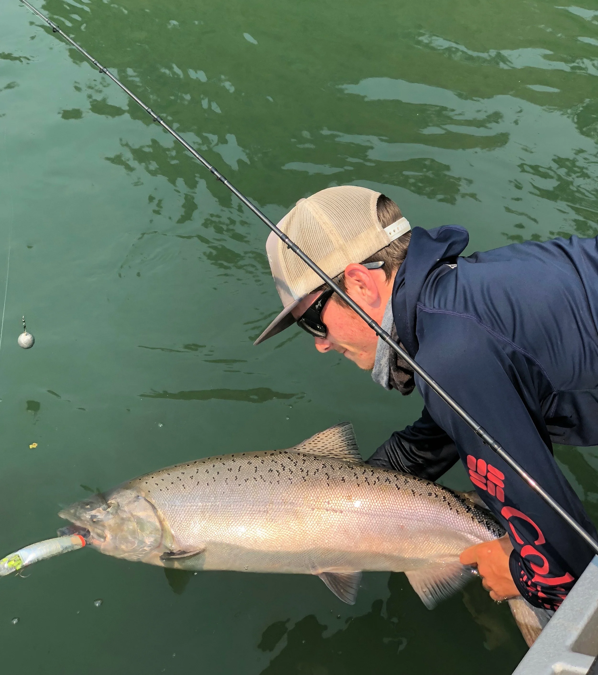 Salmon Angler Ryan Tripp Letting A King Salmon Go