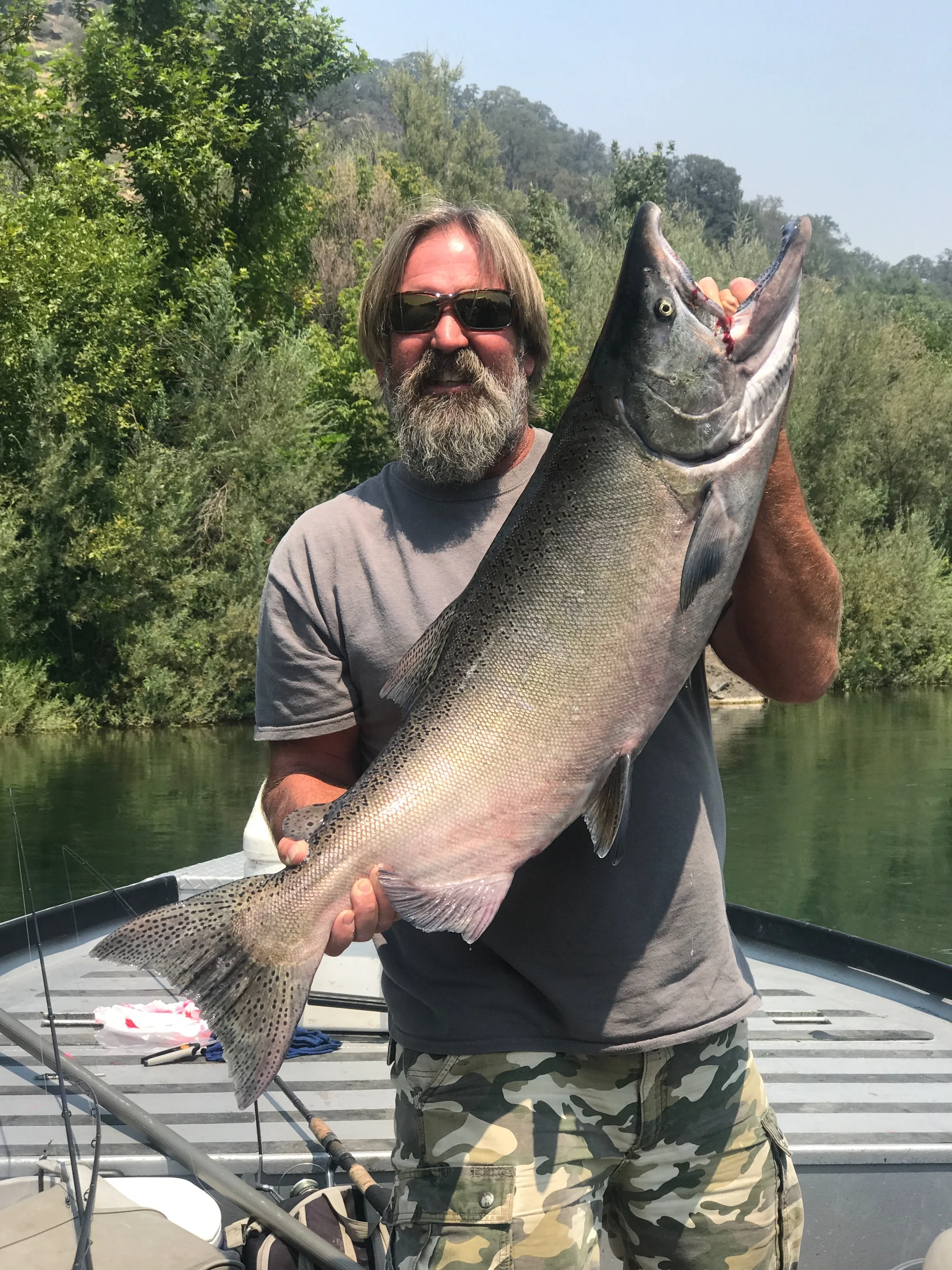 The Husband's Salmon