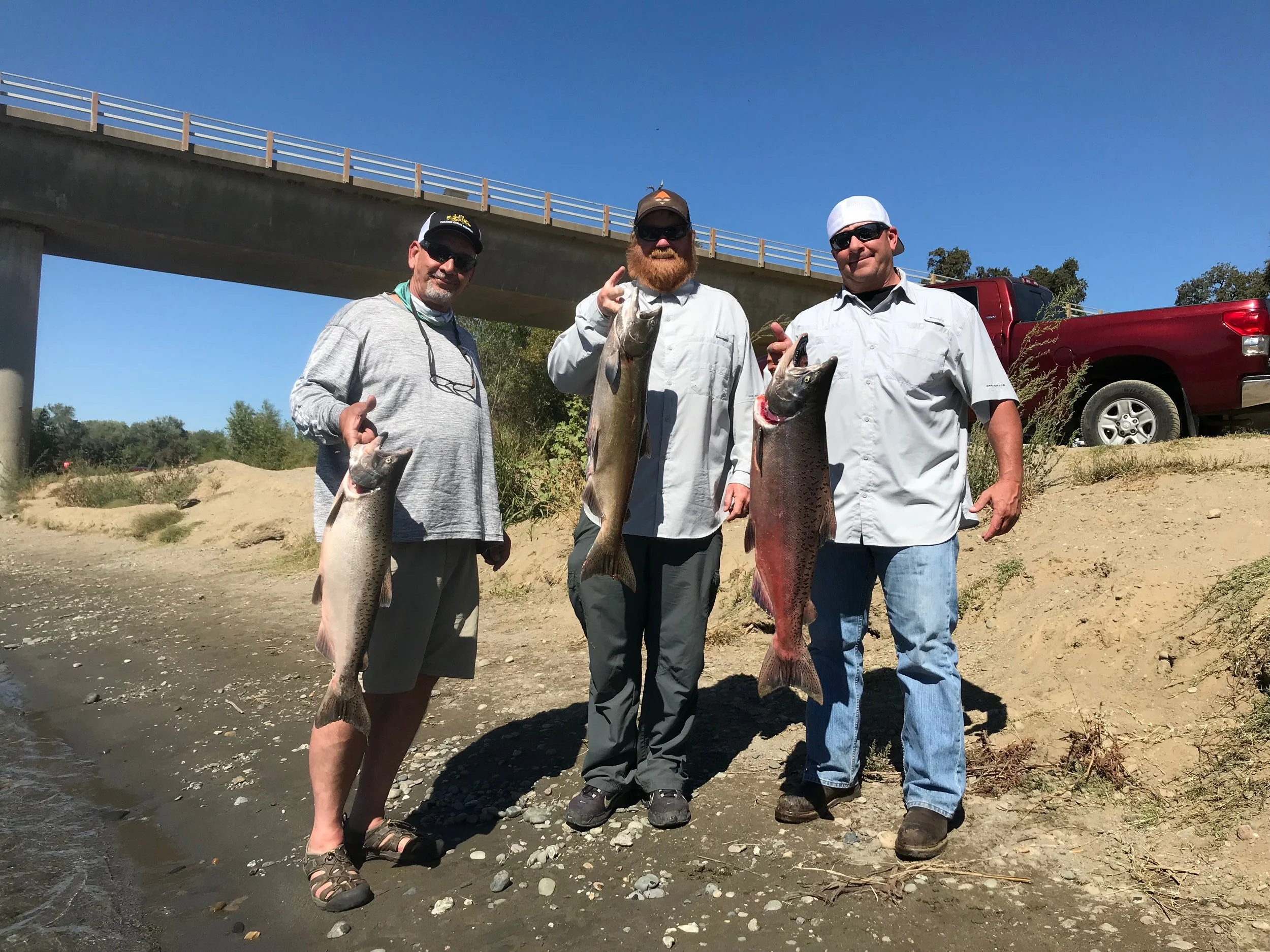 Limits Of King Salmon For Fishing Guide Jonny Pearl. 