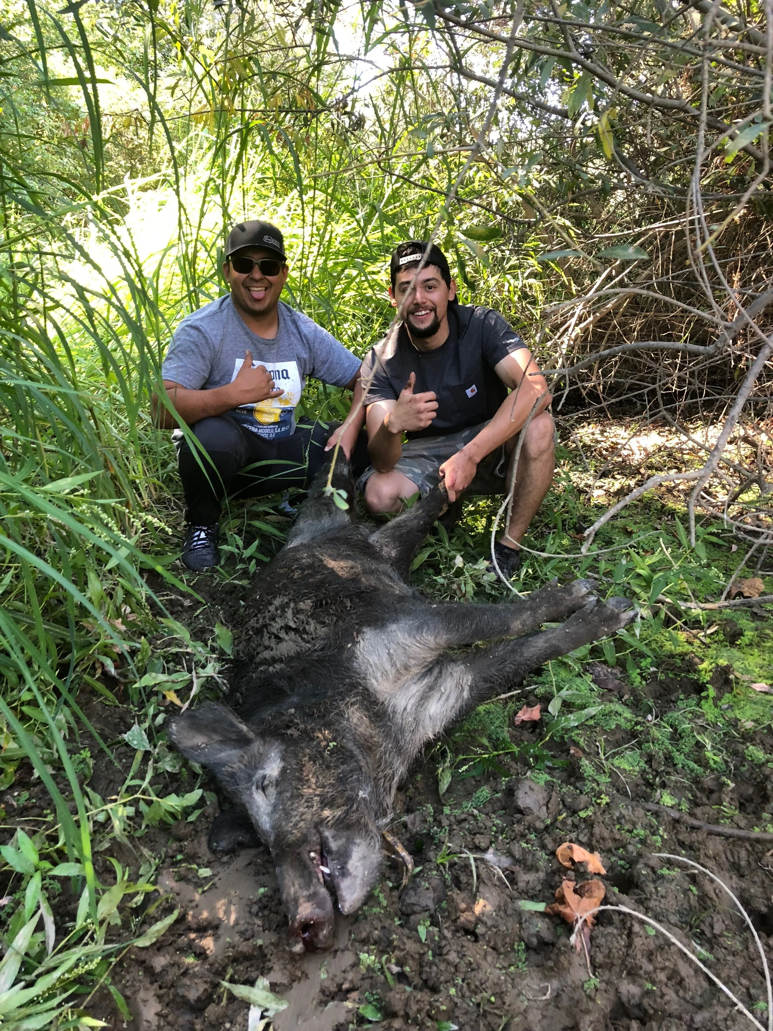 Sacramento River Wild Hog Hunting
