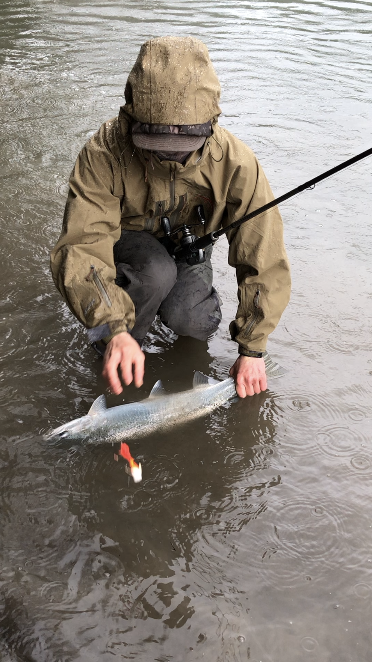 Ryan Tripp Tosses His Bait After Releasing A Wild Steelhead