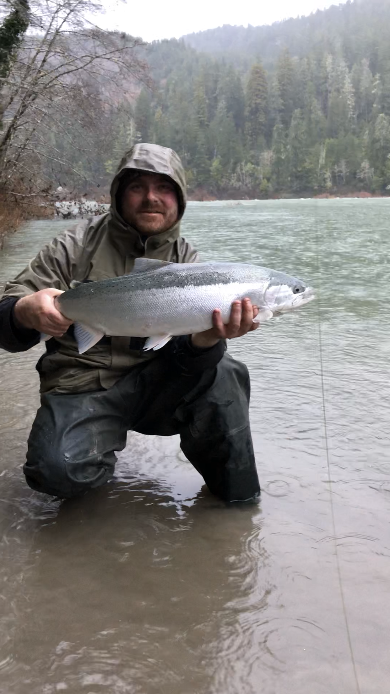 Mike Tipton Holds A Beautiful Steelhead