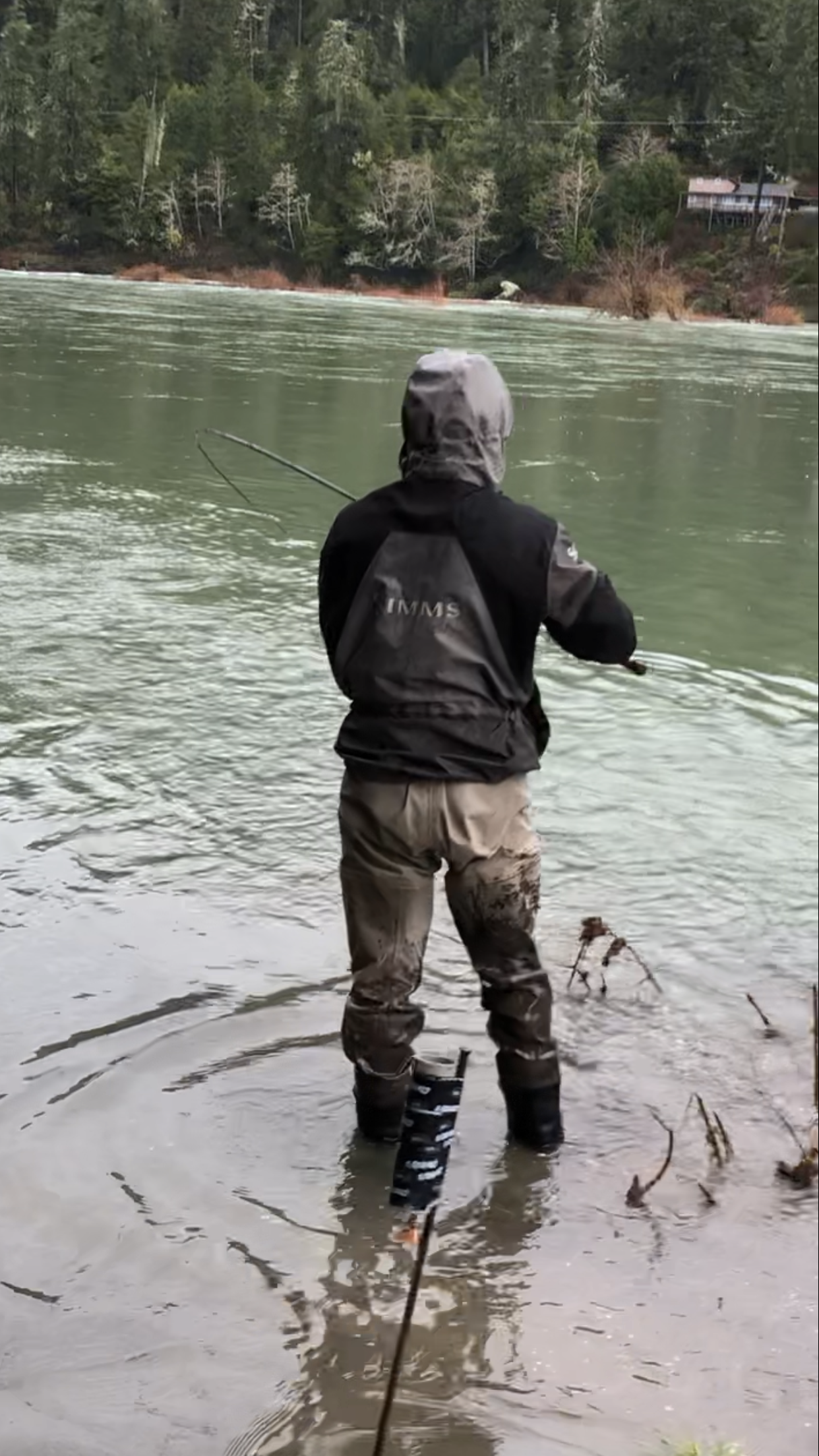 Steelhead Vs. Human