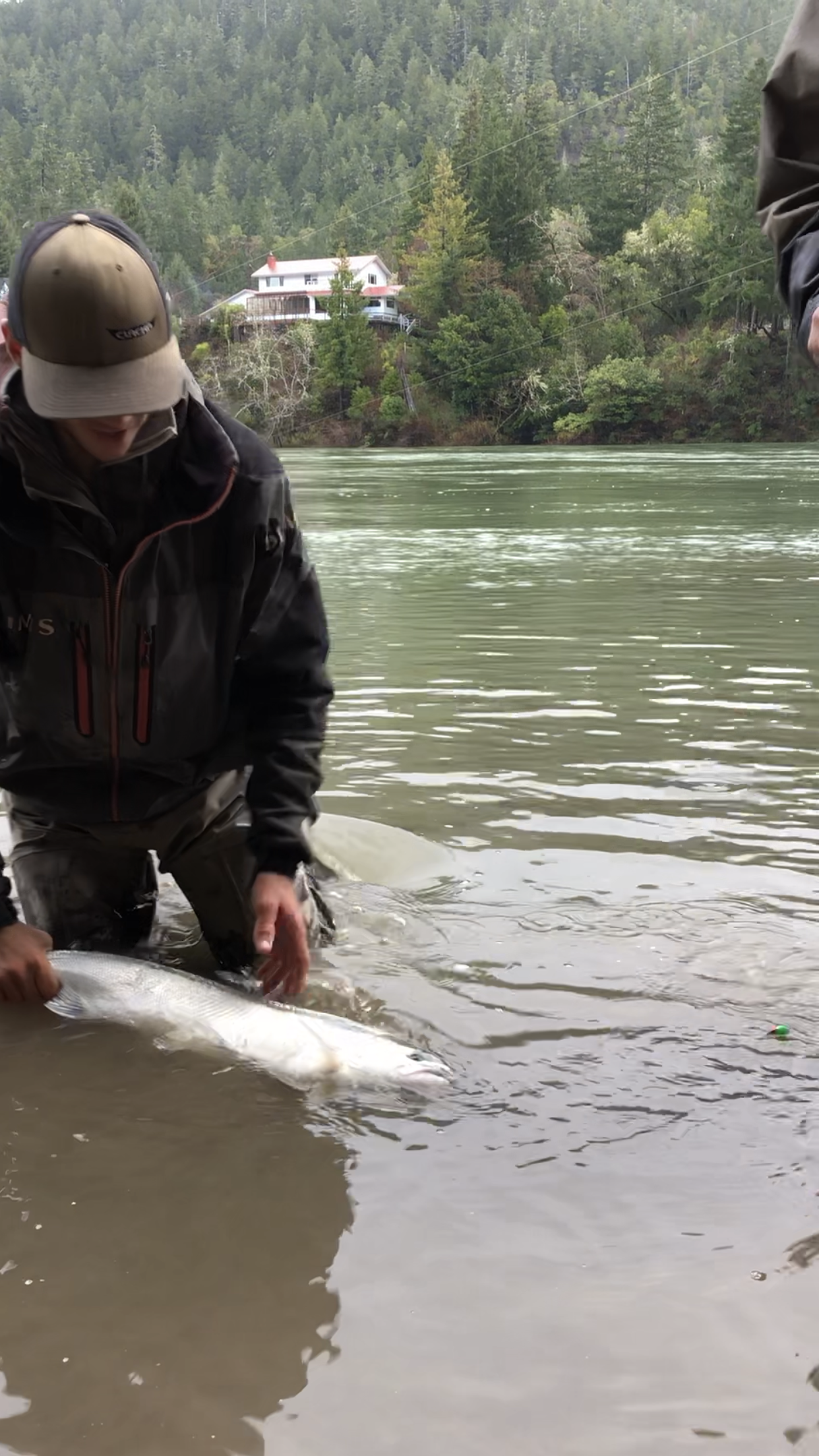 Chrome Bright Wild Steelhead