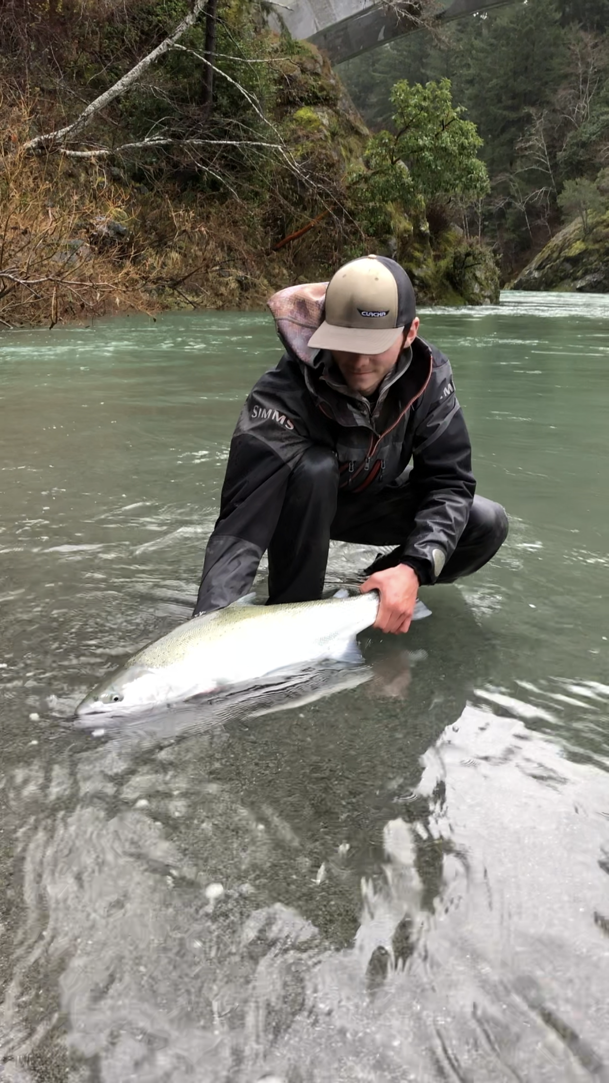 Chrome Bright Wild Buck Steelhead