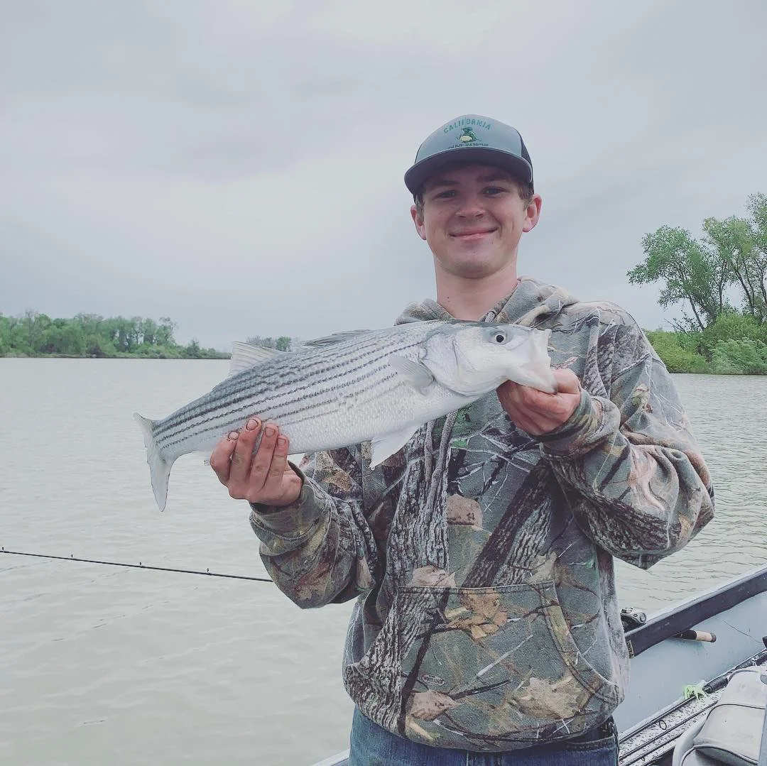 April Is Spring Striped Bass Time In Northern California