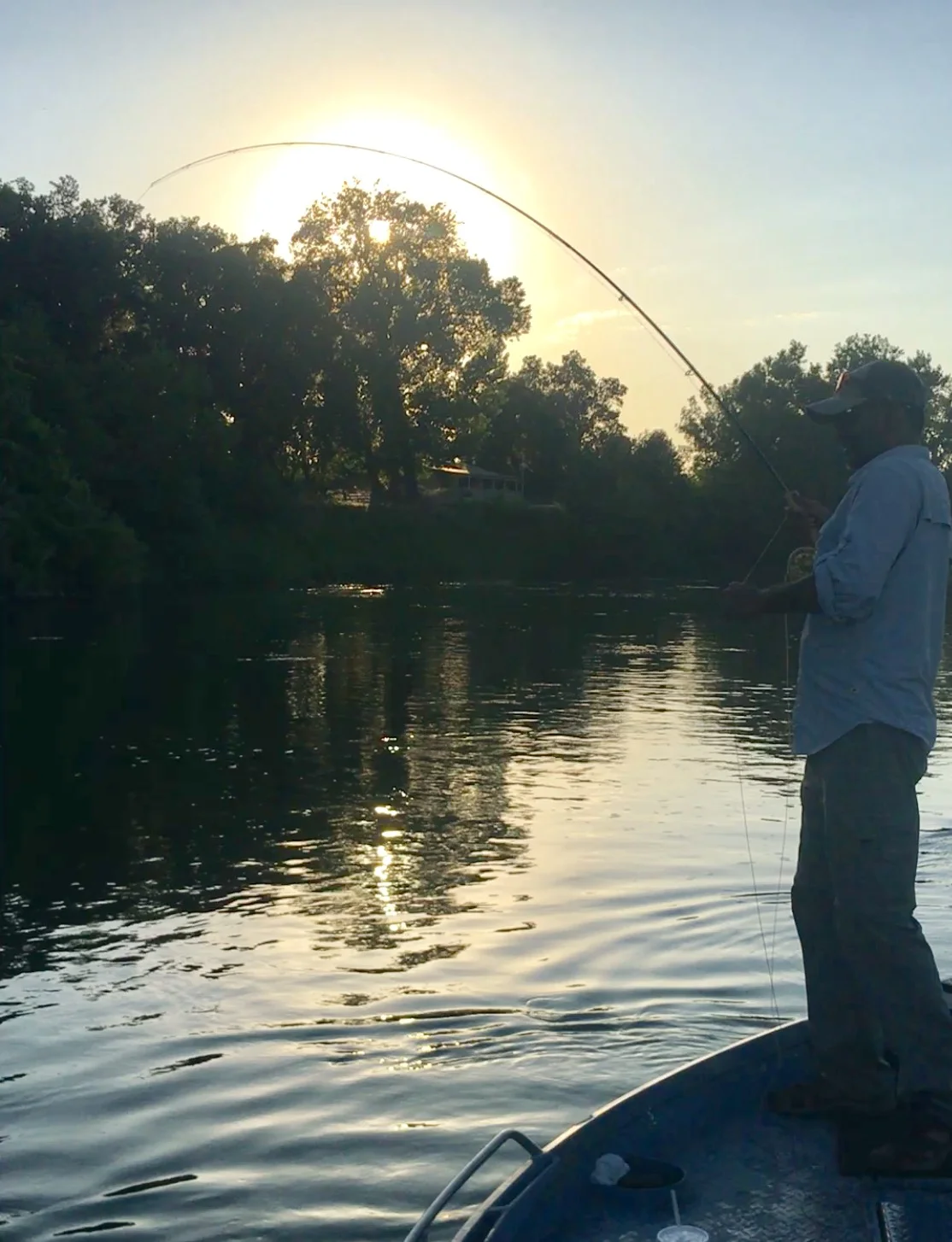Fly Fishing For American Shad