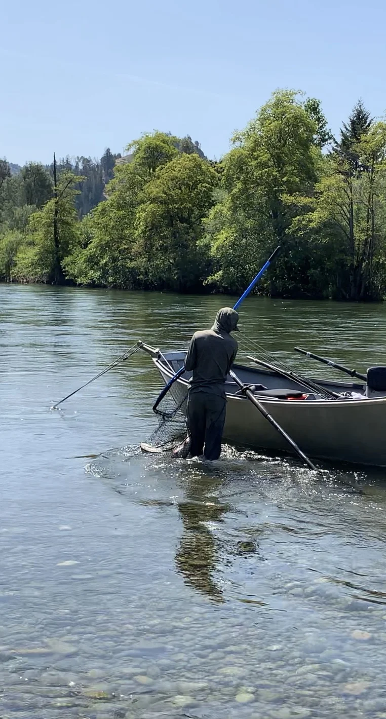 Salmon Fishing With Fishing Guides In Northern California