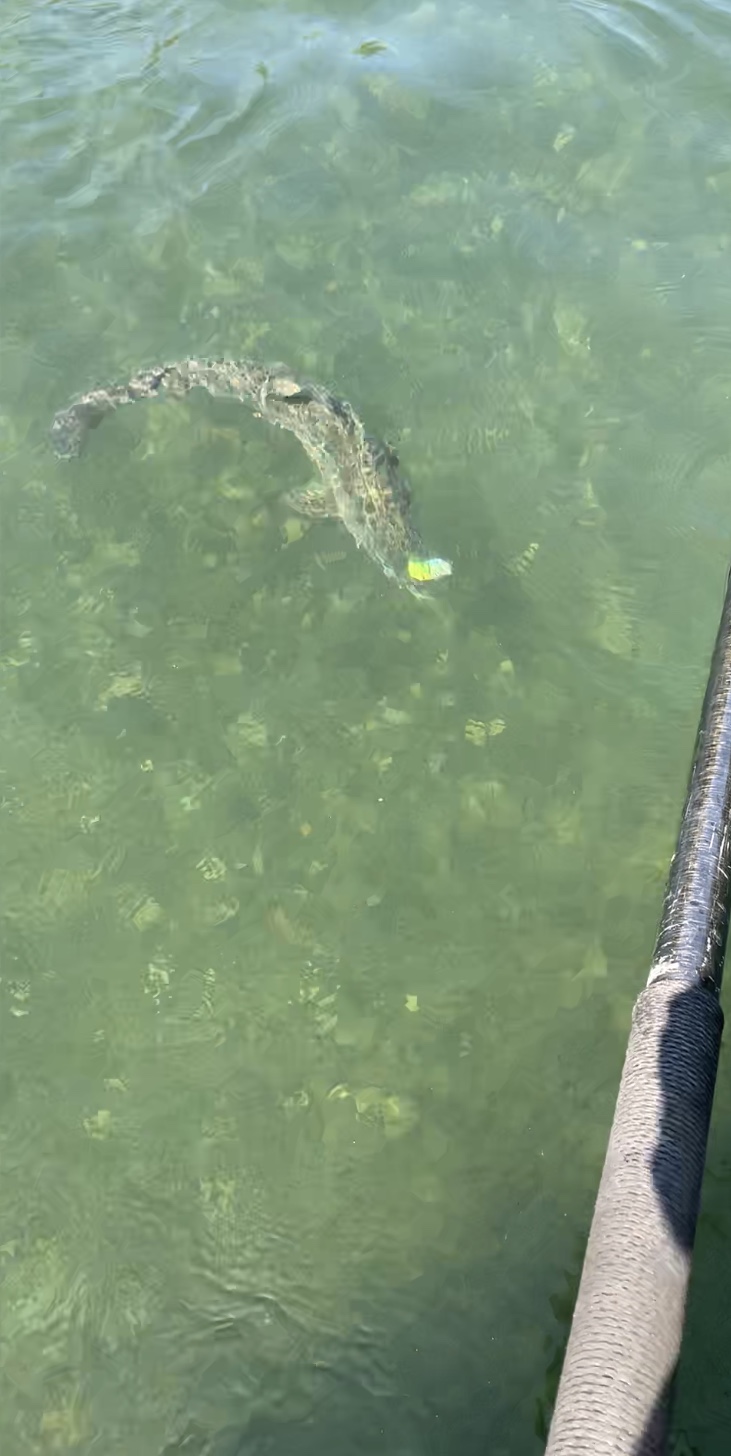 Salmon Fishing Guide Photo