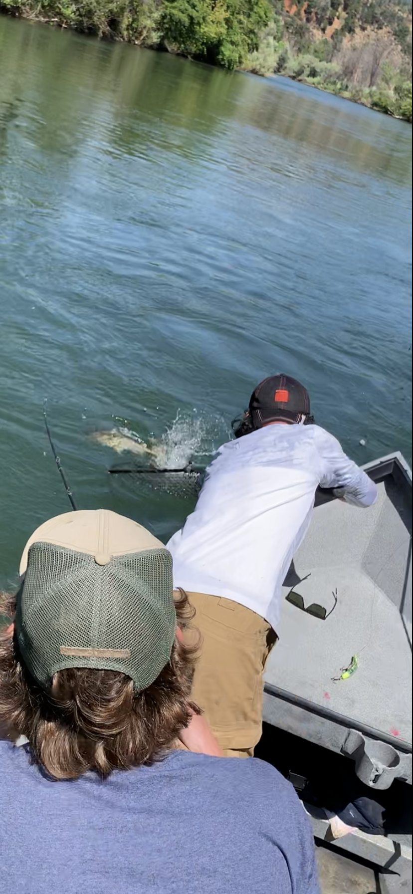 Leaning In For The Net Job
