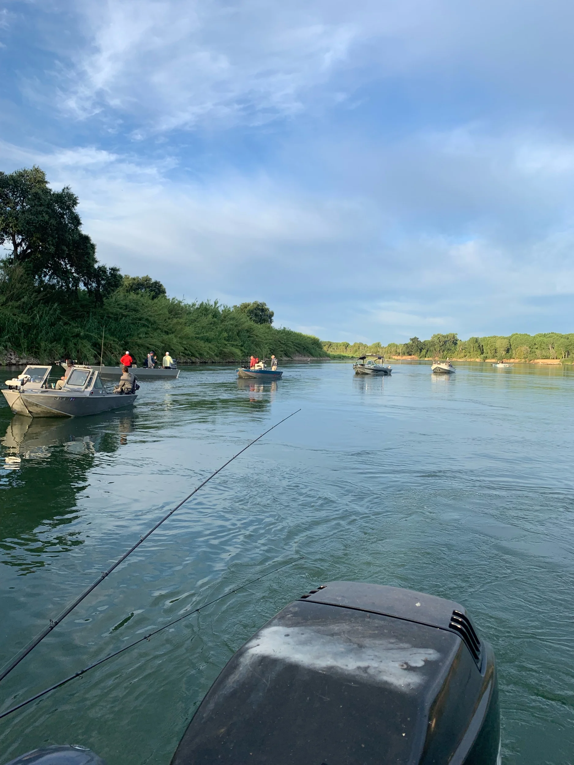 Opening morning photograph on the Sacramento River near Los Molinos, Ca. Photo taken with J. Pearl Guide Service.