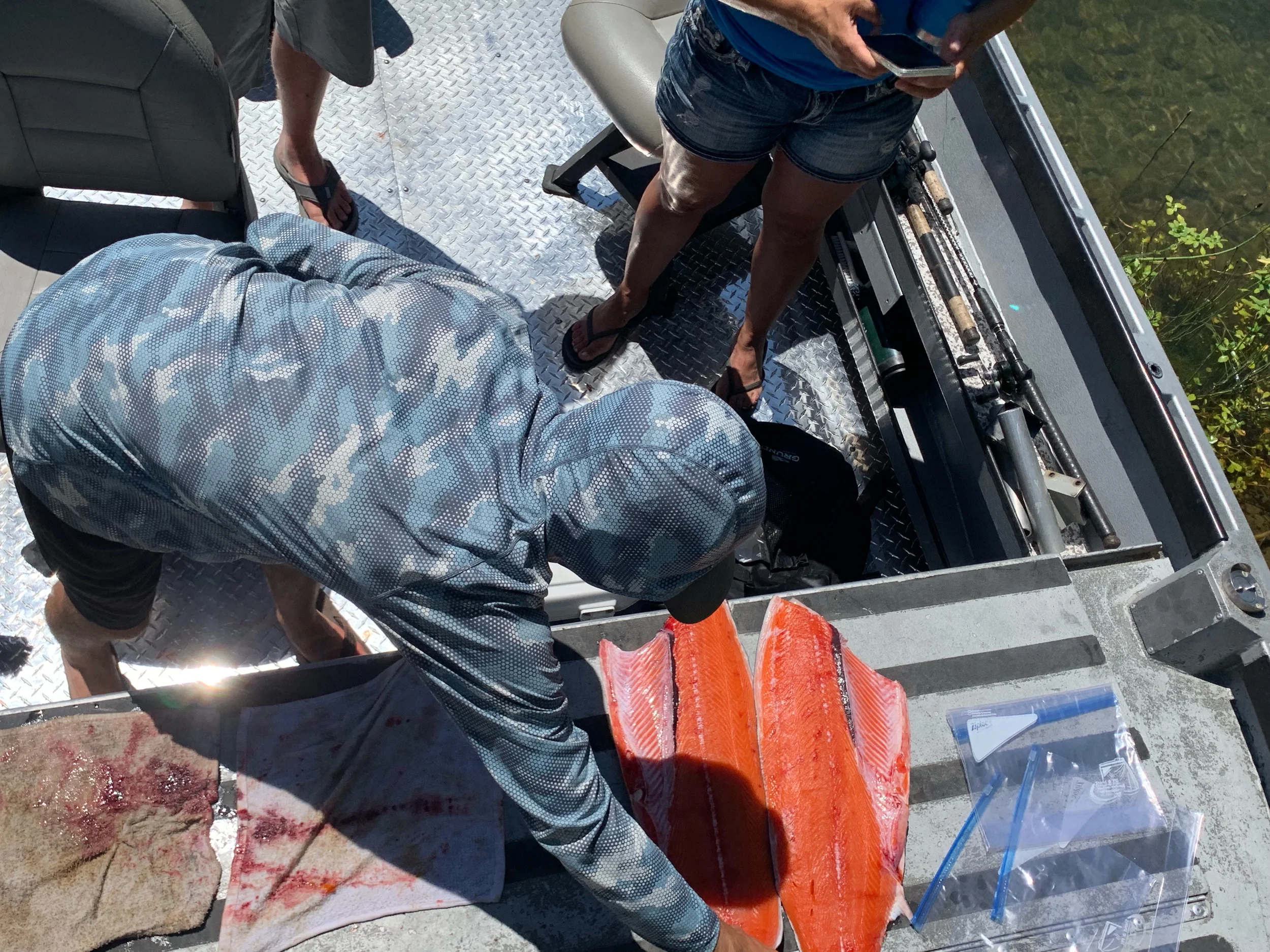 Filleting A Feather River Salmon