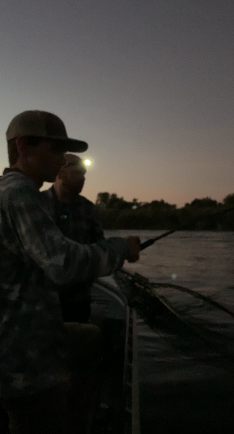 Early Morning Salmon Fishing On The Feather River