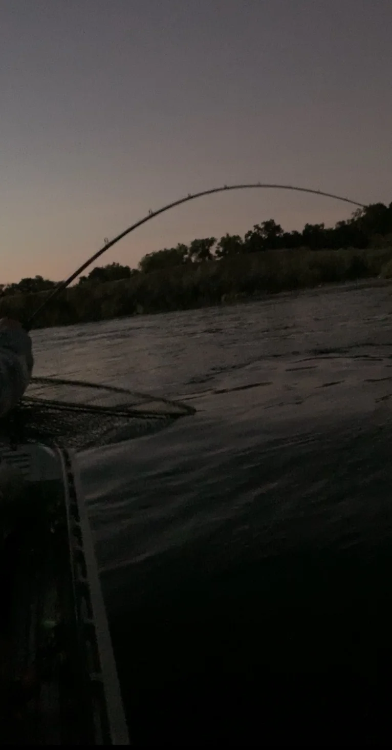 Salmon Fishing Pole Bent Over